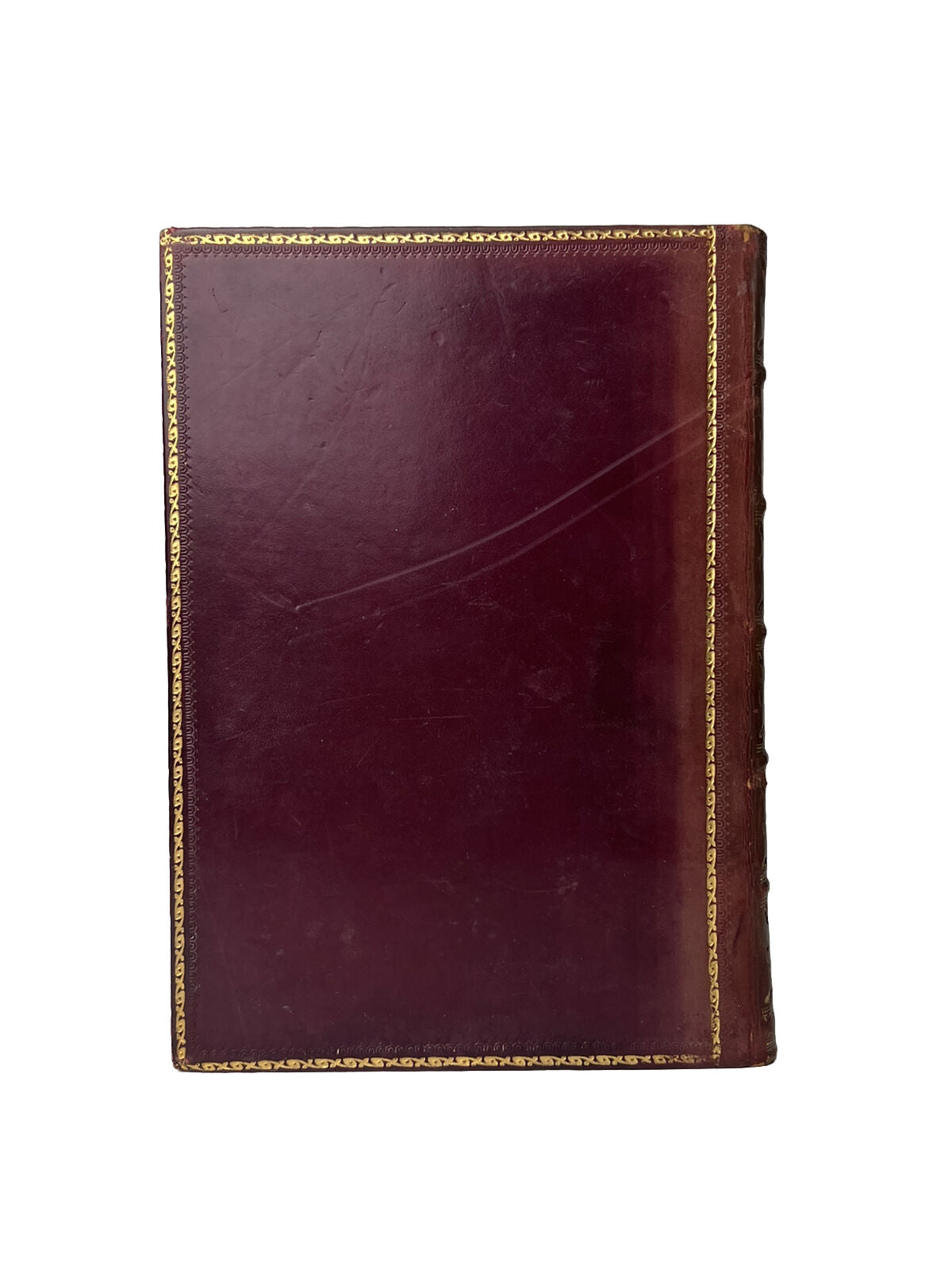 Stories of the Sagacity of Animals by W. Kingston 1892