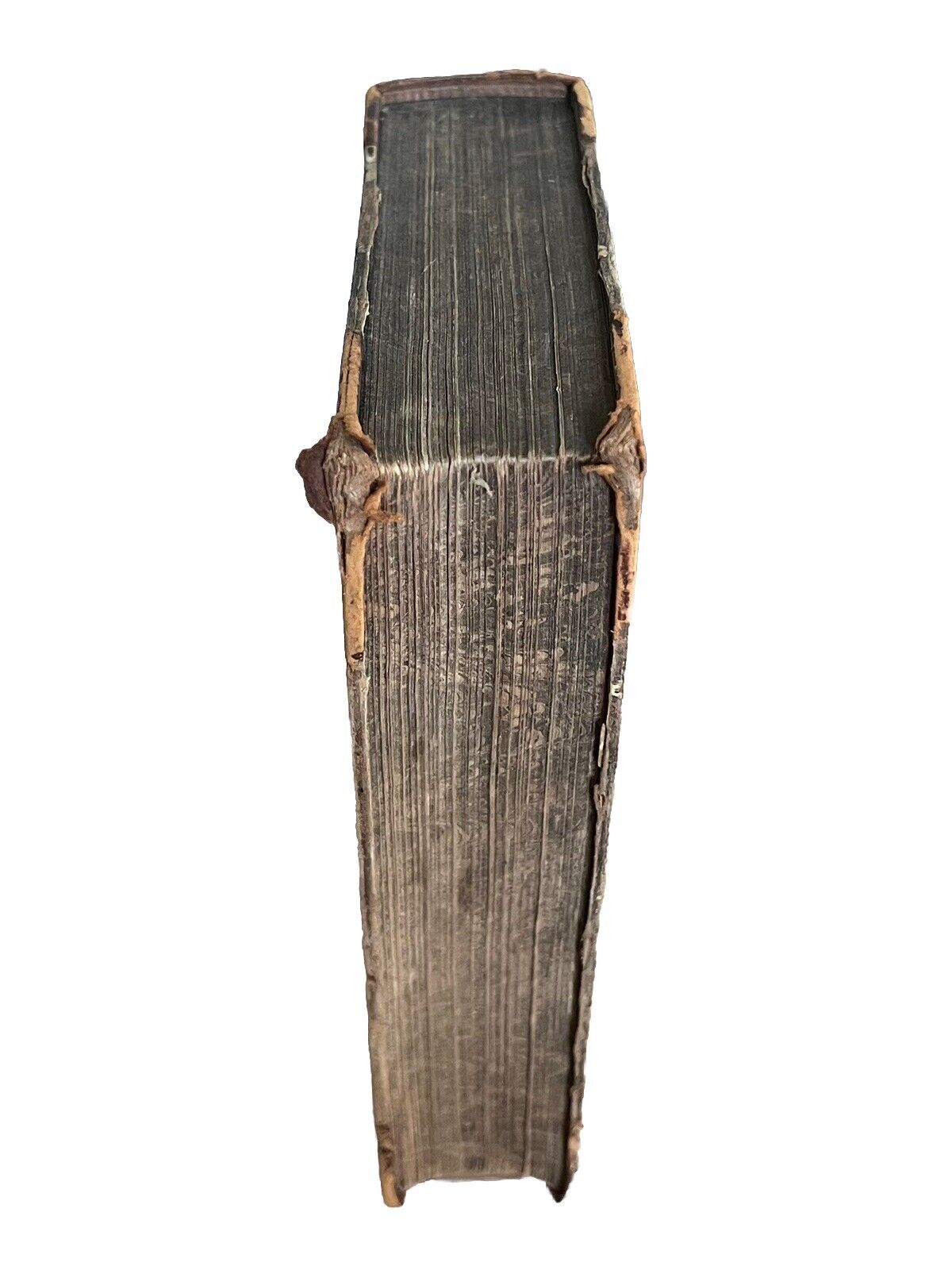 Little Dorrit by Charles Dickens 1857 First Edition