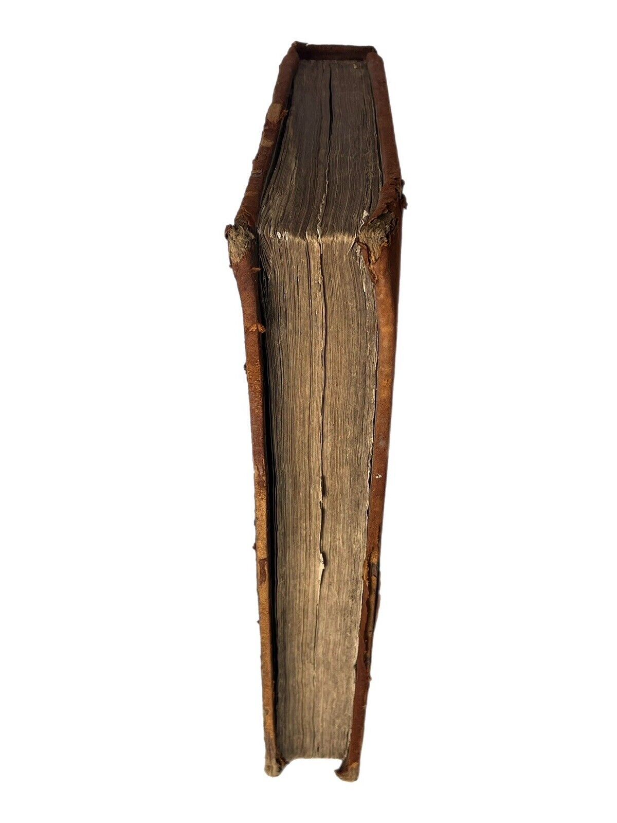 The King James Bible 1701 Old Testament