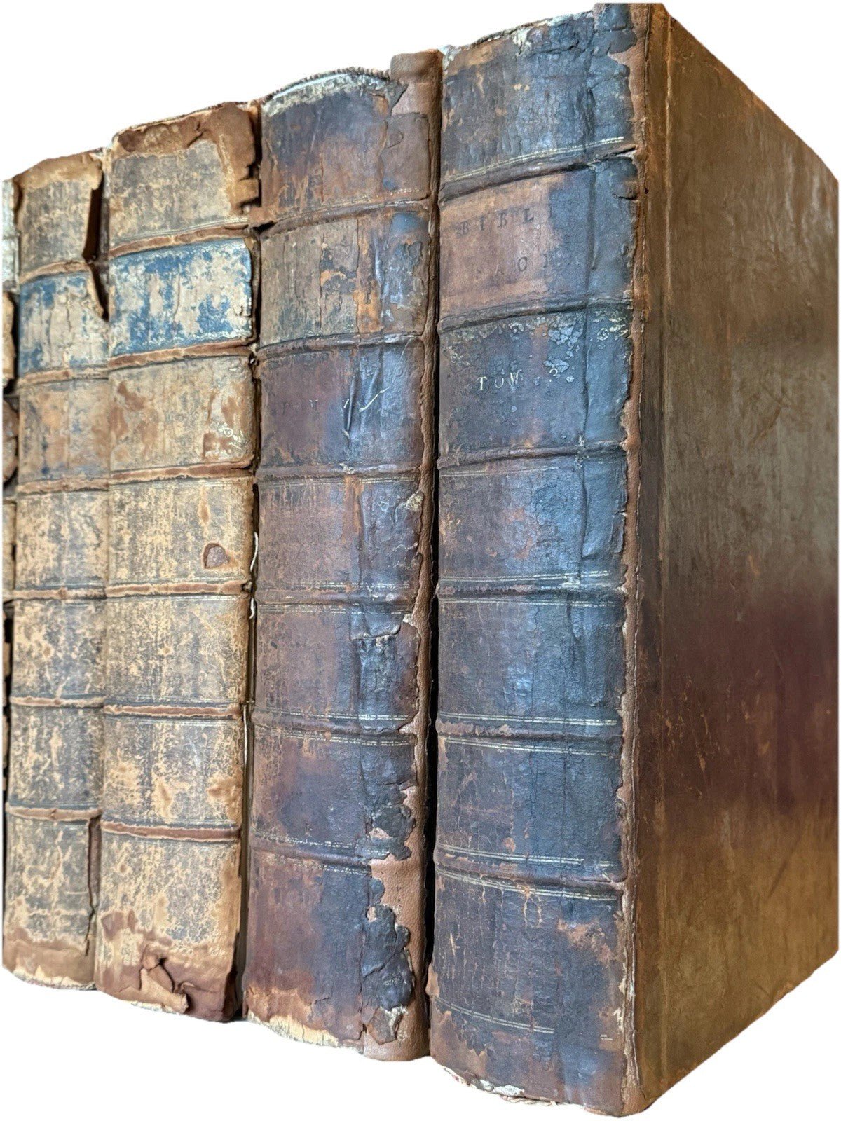 Biblia Sacra 1698