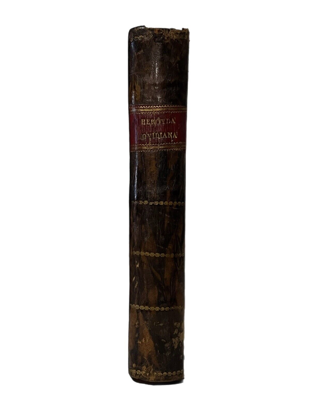 Ovid's Heroides 1628 Sebastian de Matienzo Commentary