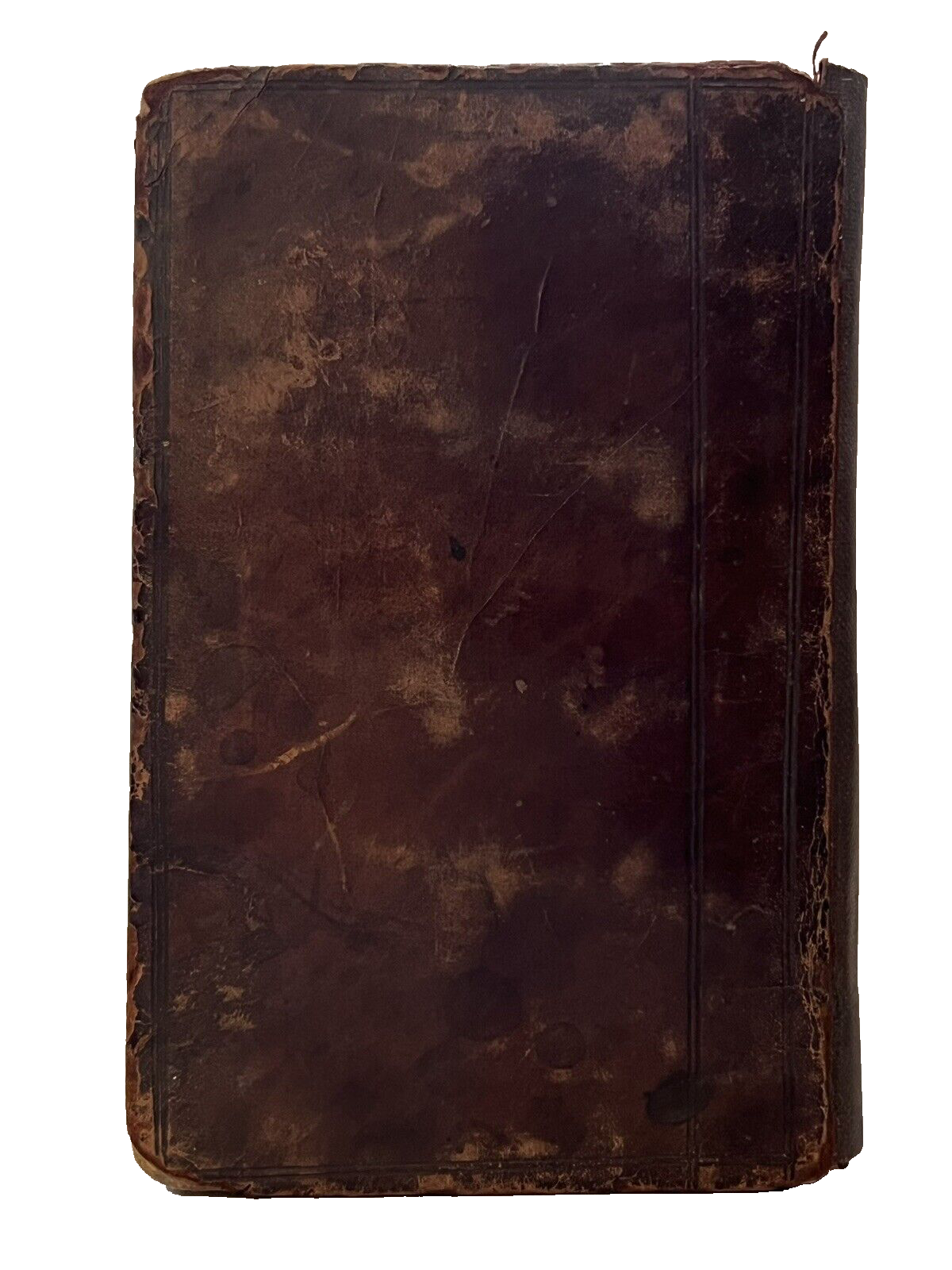Exposition of the Epistles of Paul to the Philippians and Colossians 1656