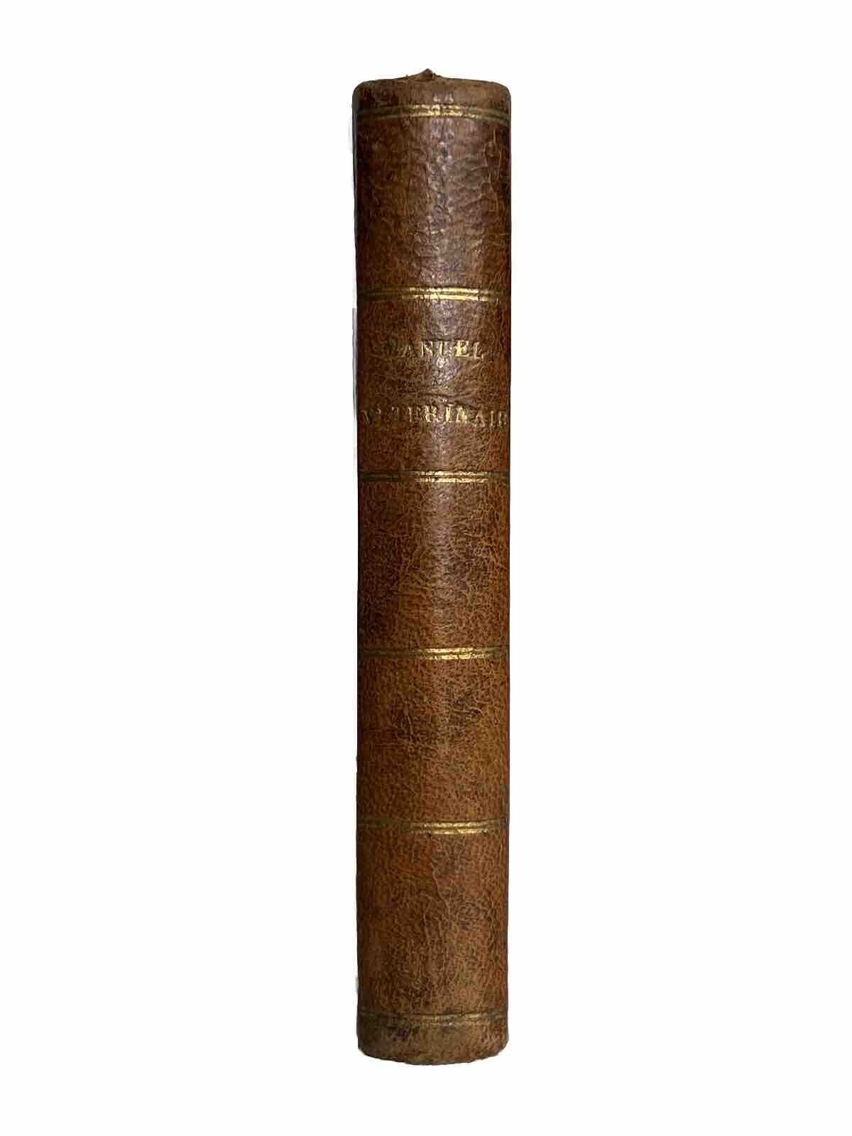 Antique Veterinarian Manual for Horses 1826