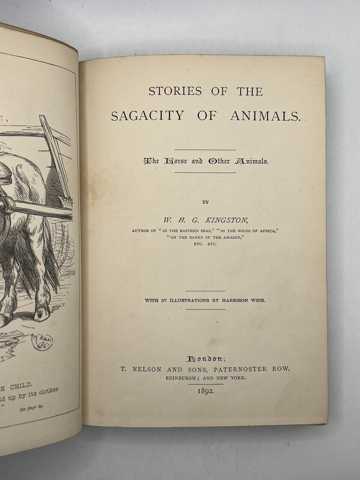 Stories of the Sagacity of Animals by W. Kingston 1892
