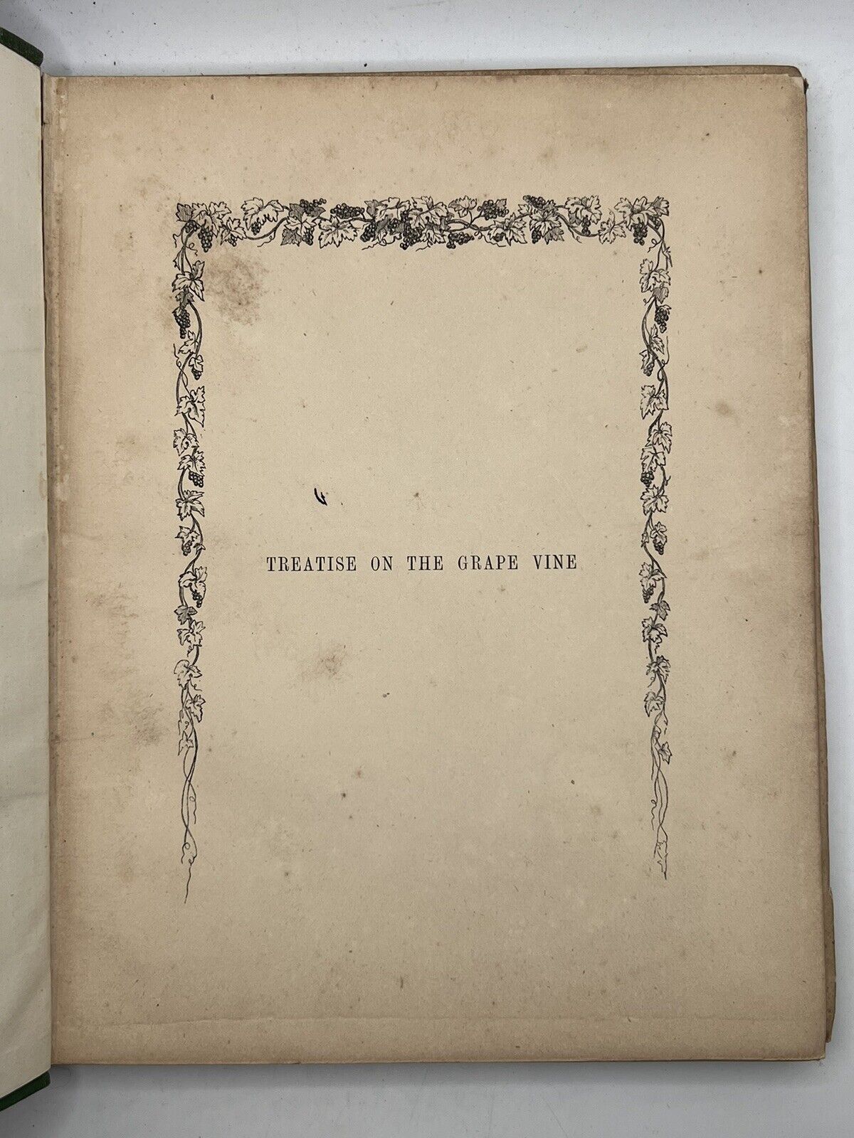 The Grape Vine by Joseph Meredith 1876 First Edition