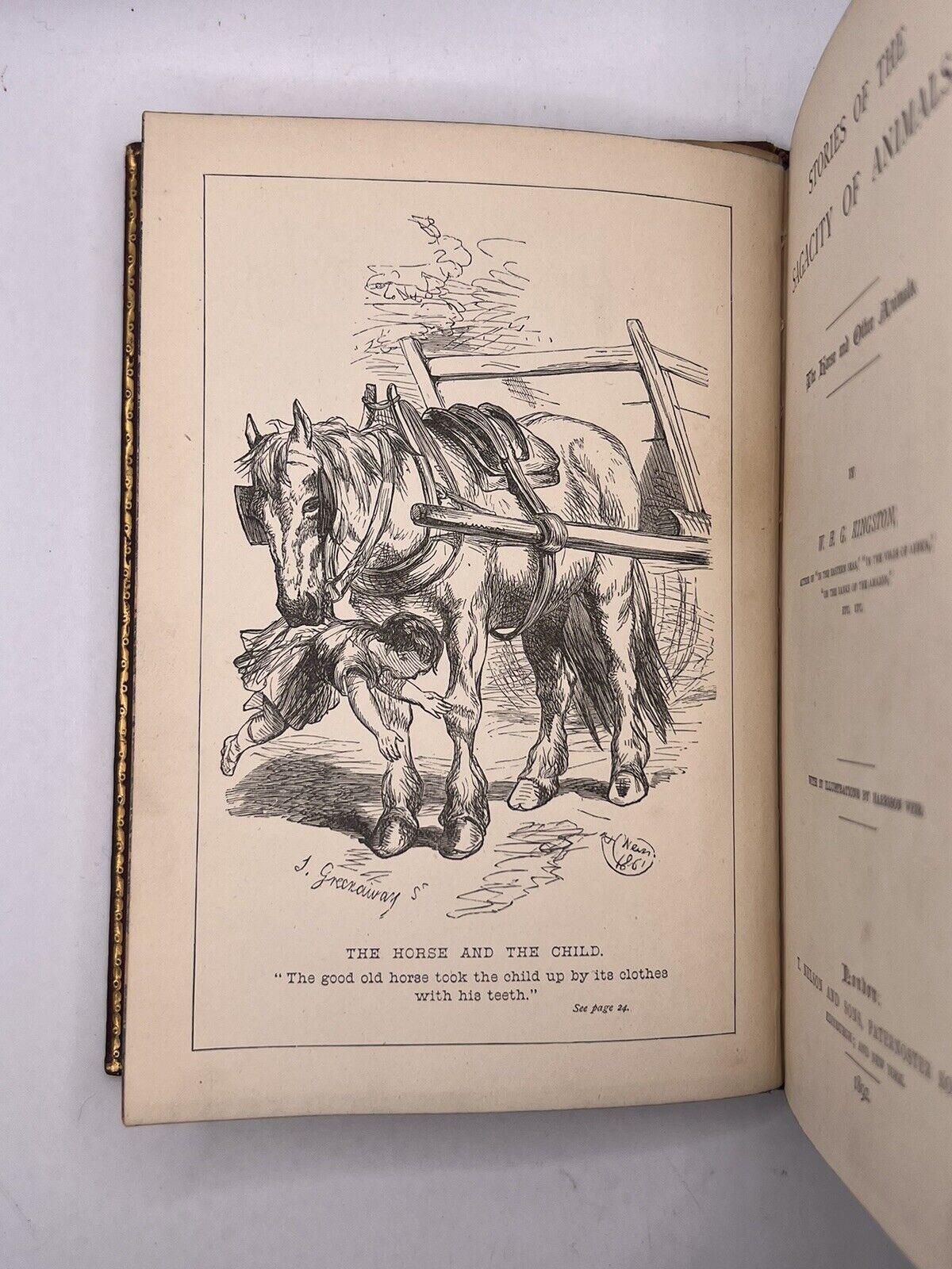 Stories of the Sagacity of Animals by W. Kingston 1892