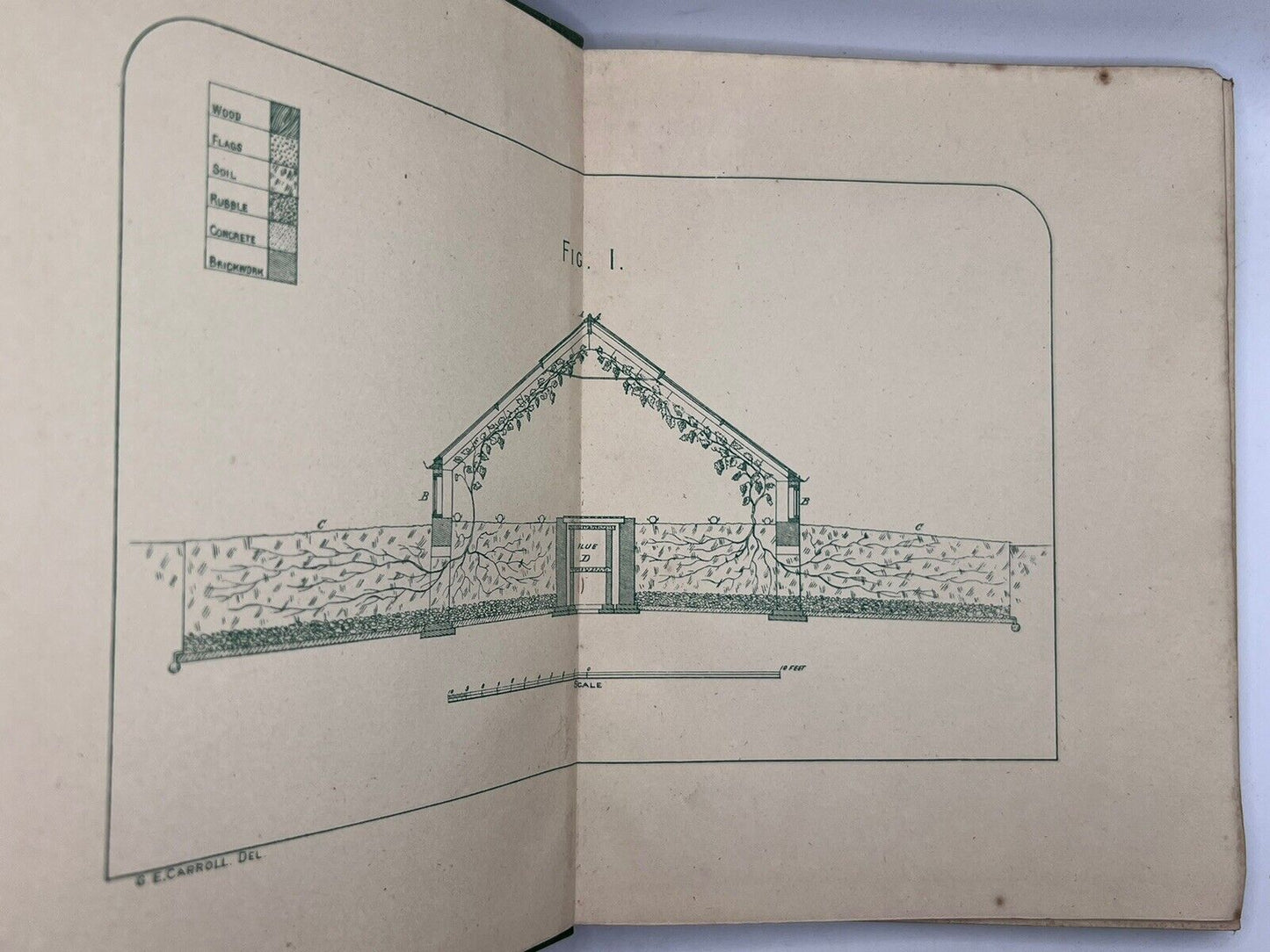 The Grape Vine by Joseph Meredith 1876 First Edition