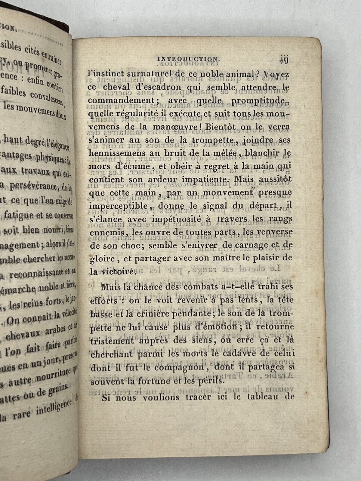 Antique Veterinarian Manual for Horses 1826