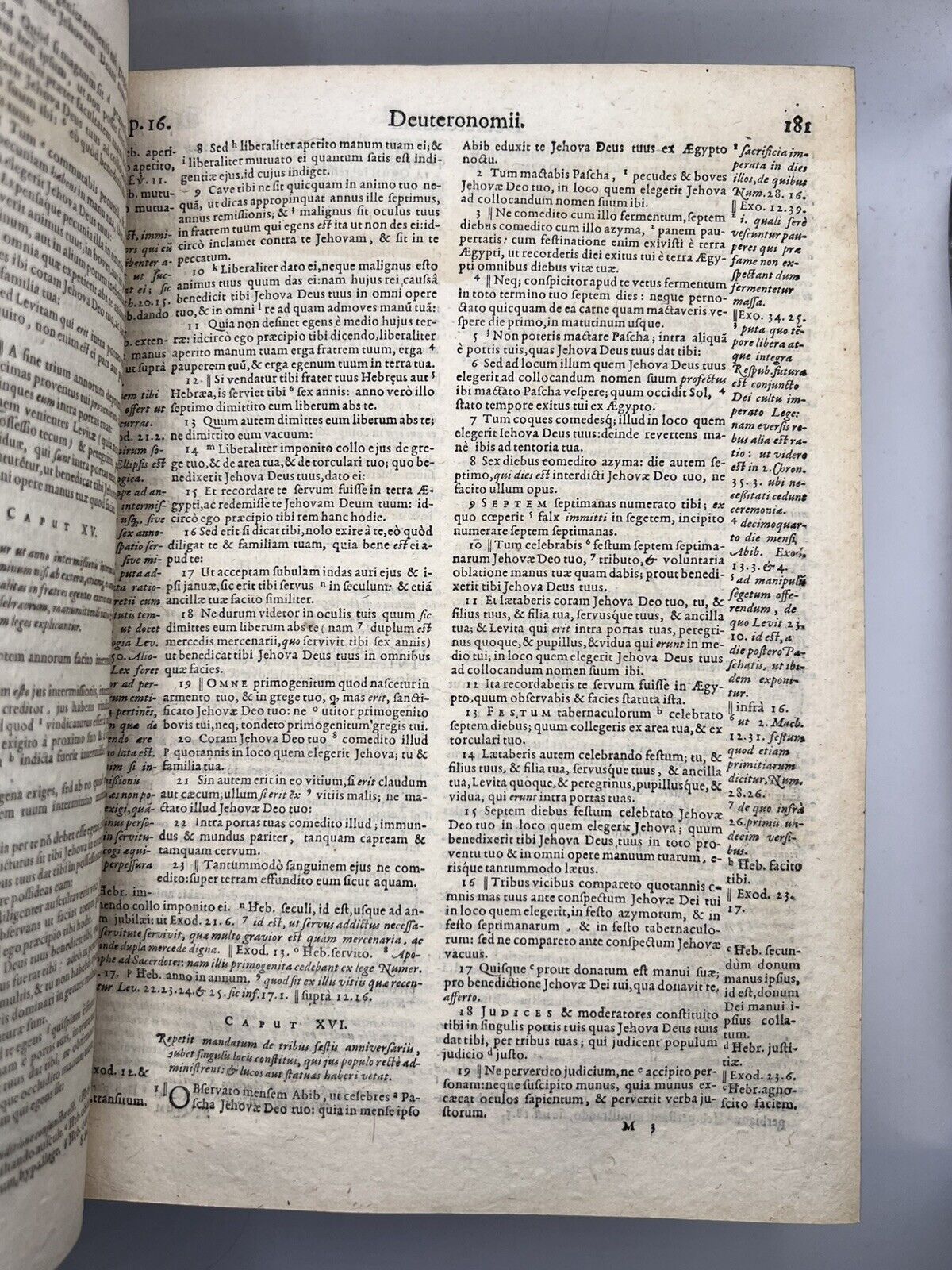 Biblia Sacra 1602