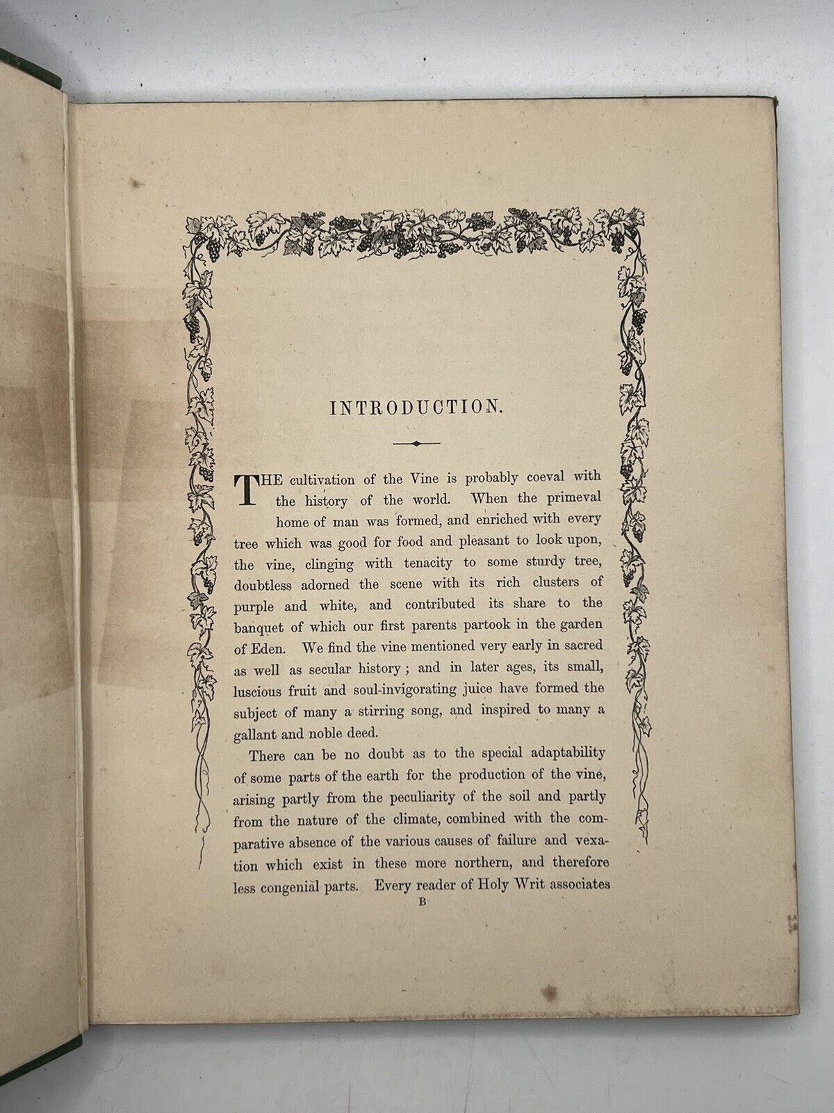 The Grape Vine by Joseph Meredith 1876 First Edition