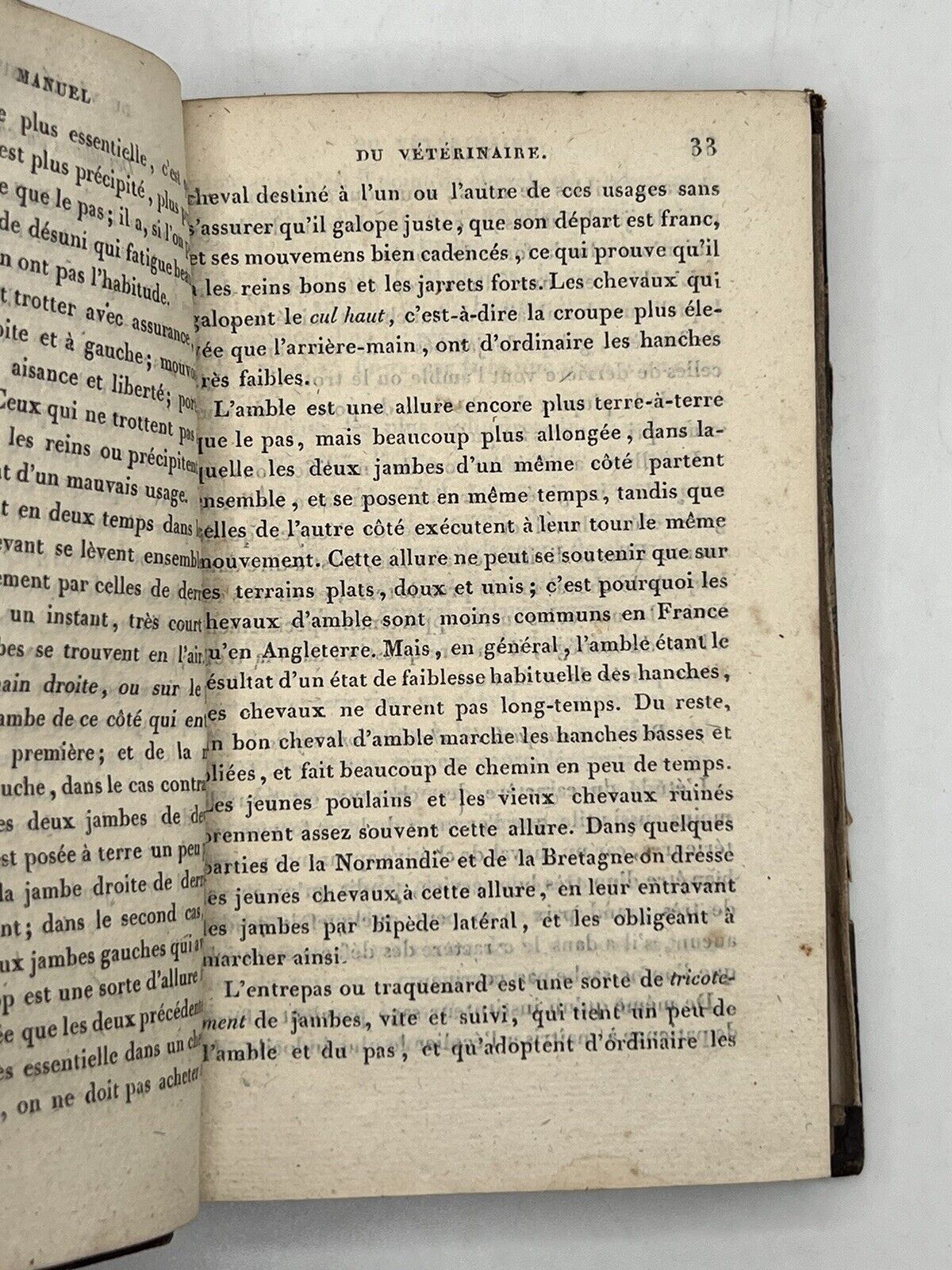 Antique Veterinarian Manual for Horses 1826