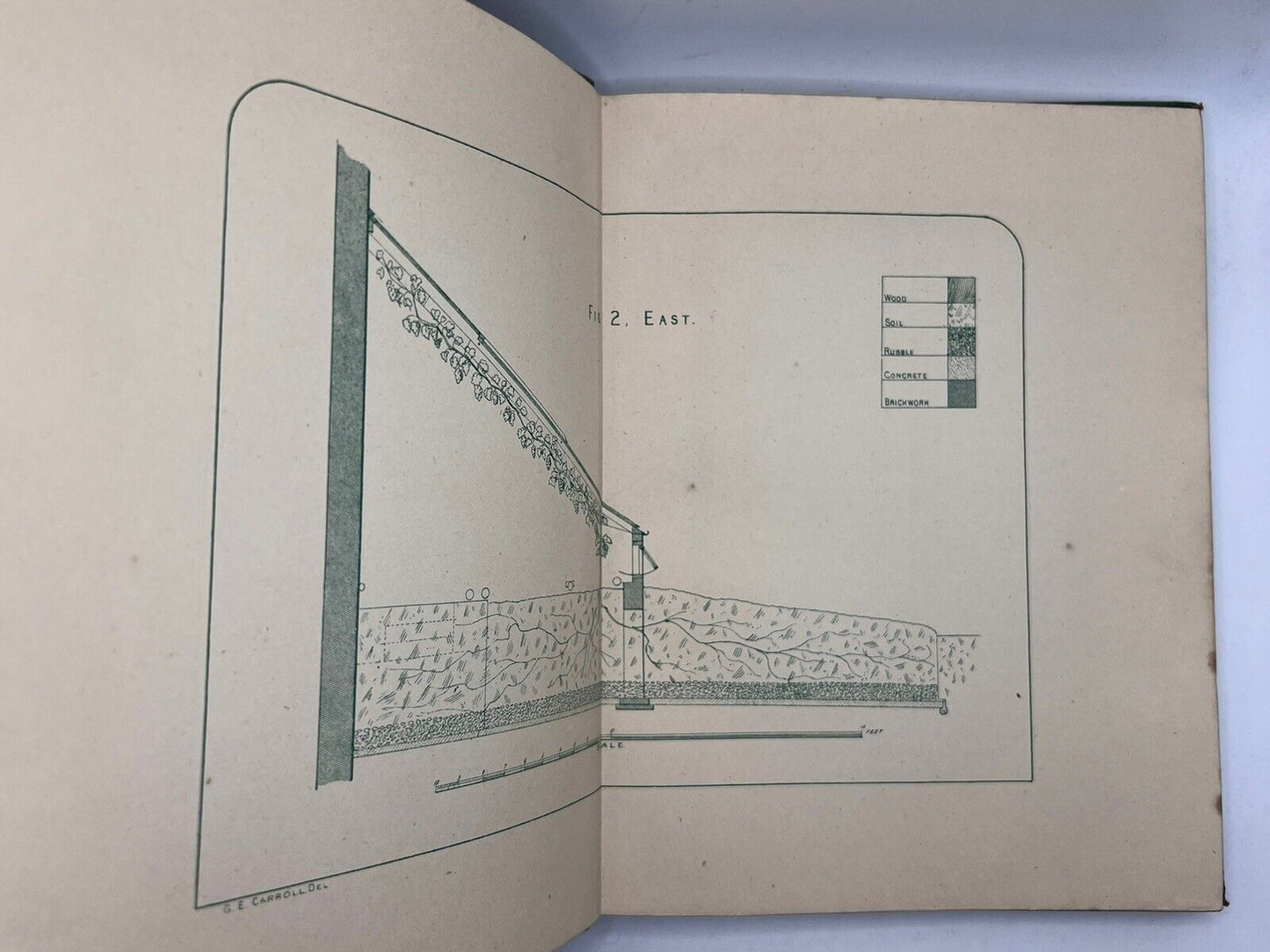 The Grape Vine by Joseph Meredith 1876 First Edition