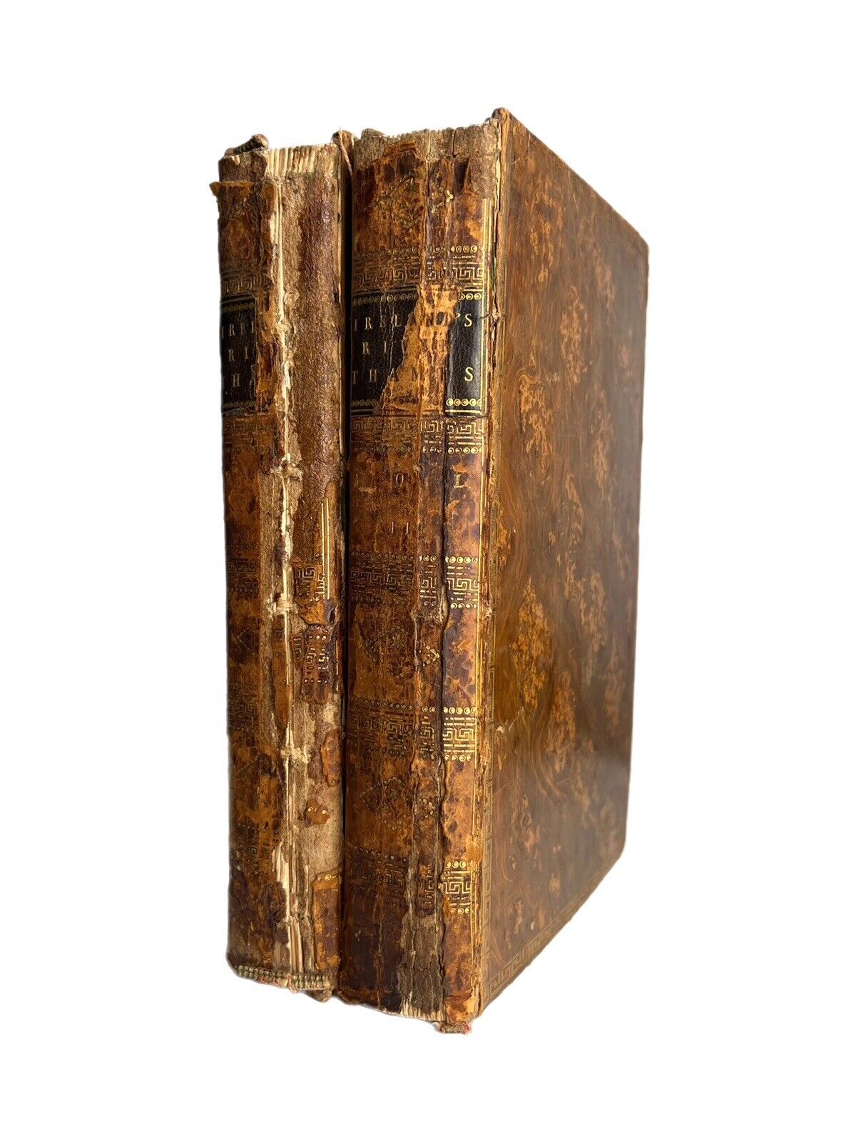 Picturesque Views on the River Thames by Samuel Ireland 1792 First Edition