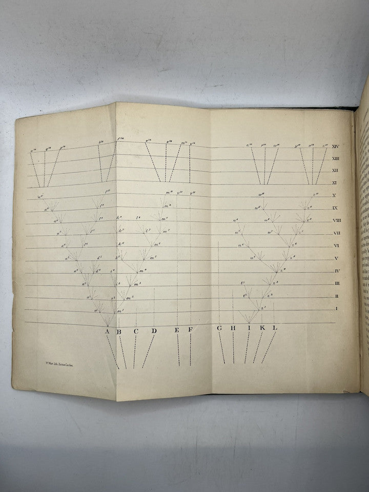 The Origin of Species by Charles Darwin 1860 Second Edition in Original Cloth