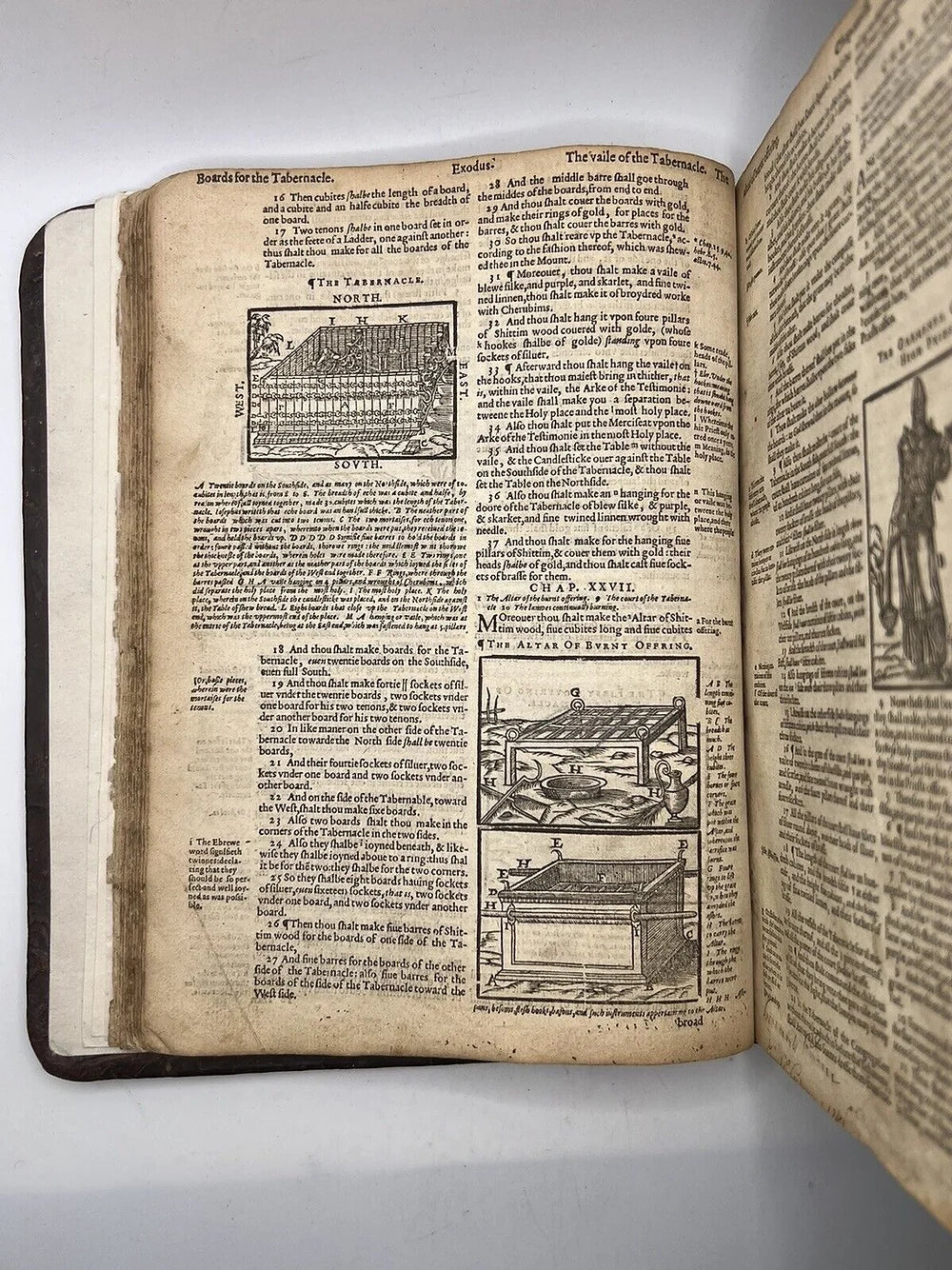 Geneva "Breeches" Bible 1608