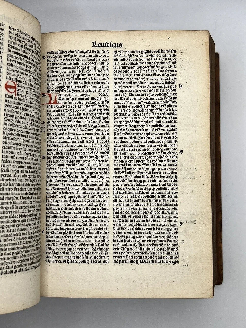 Biblia Latina 1495 Johannes Froben Incunable Printing