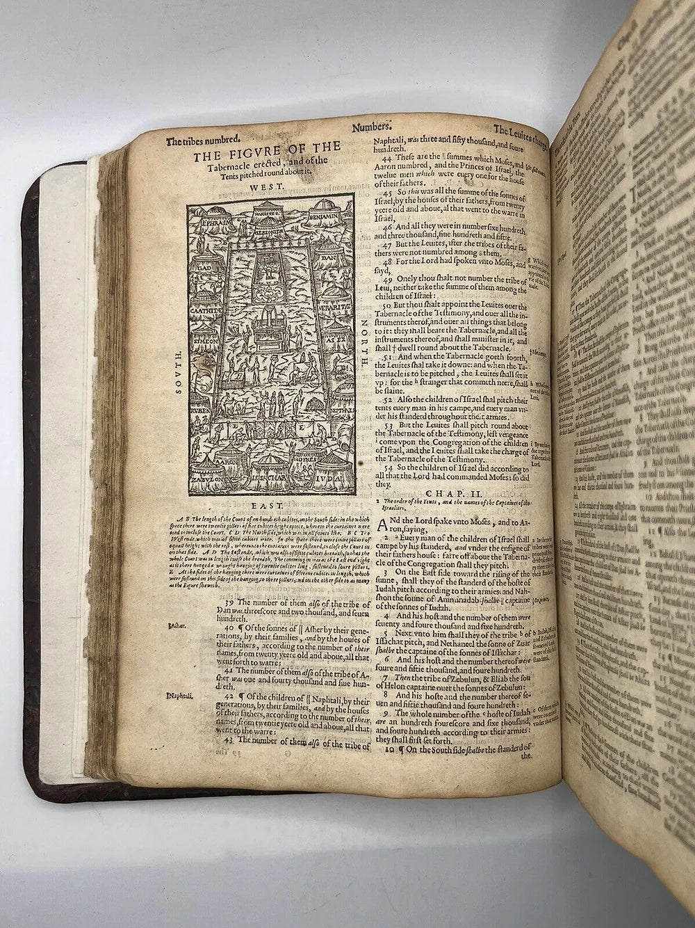 Geneva "Breeches" Bible 1608