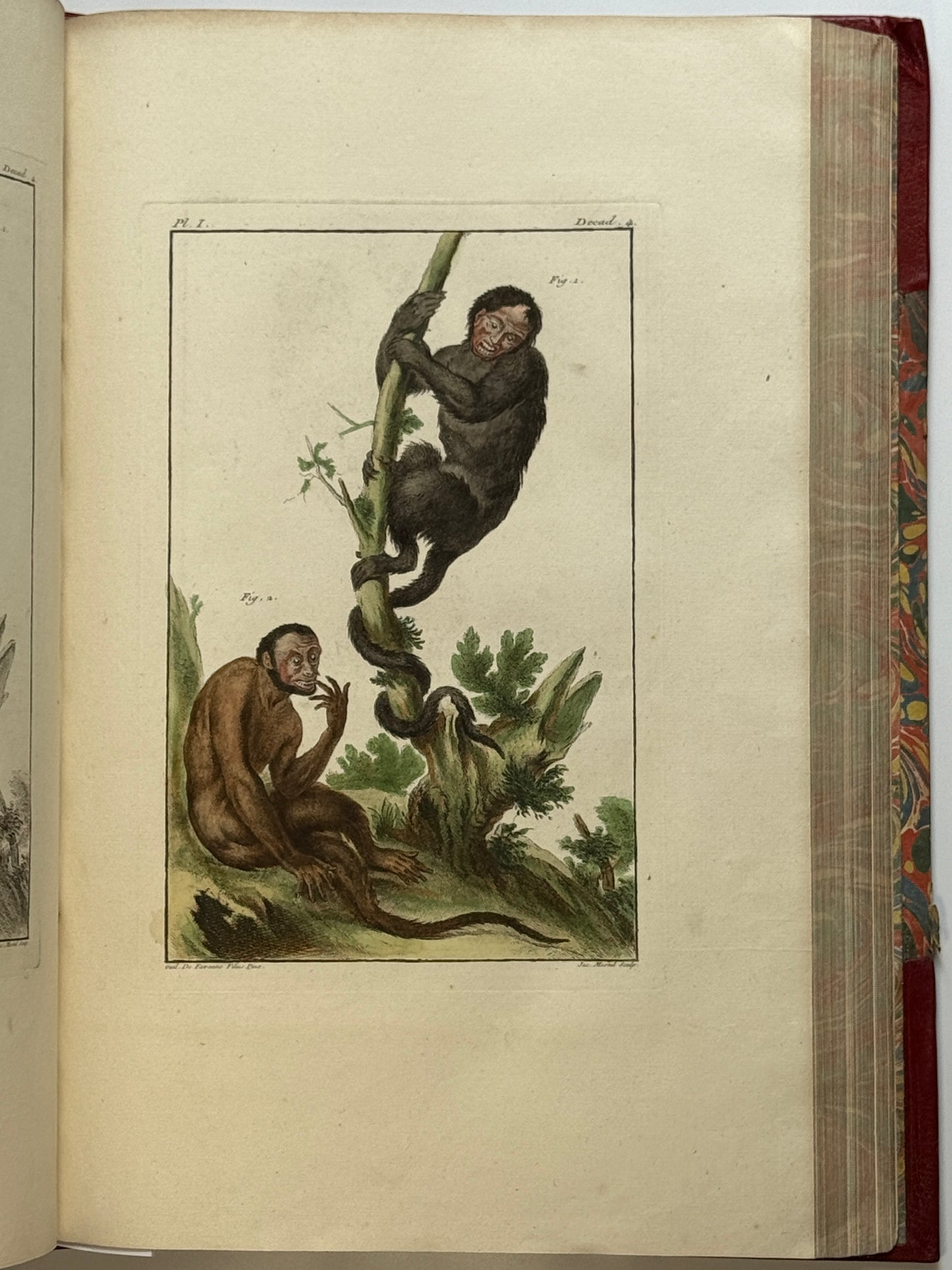 Pierre Buchoz's Planches Enluminees et non-Enluminees 1778