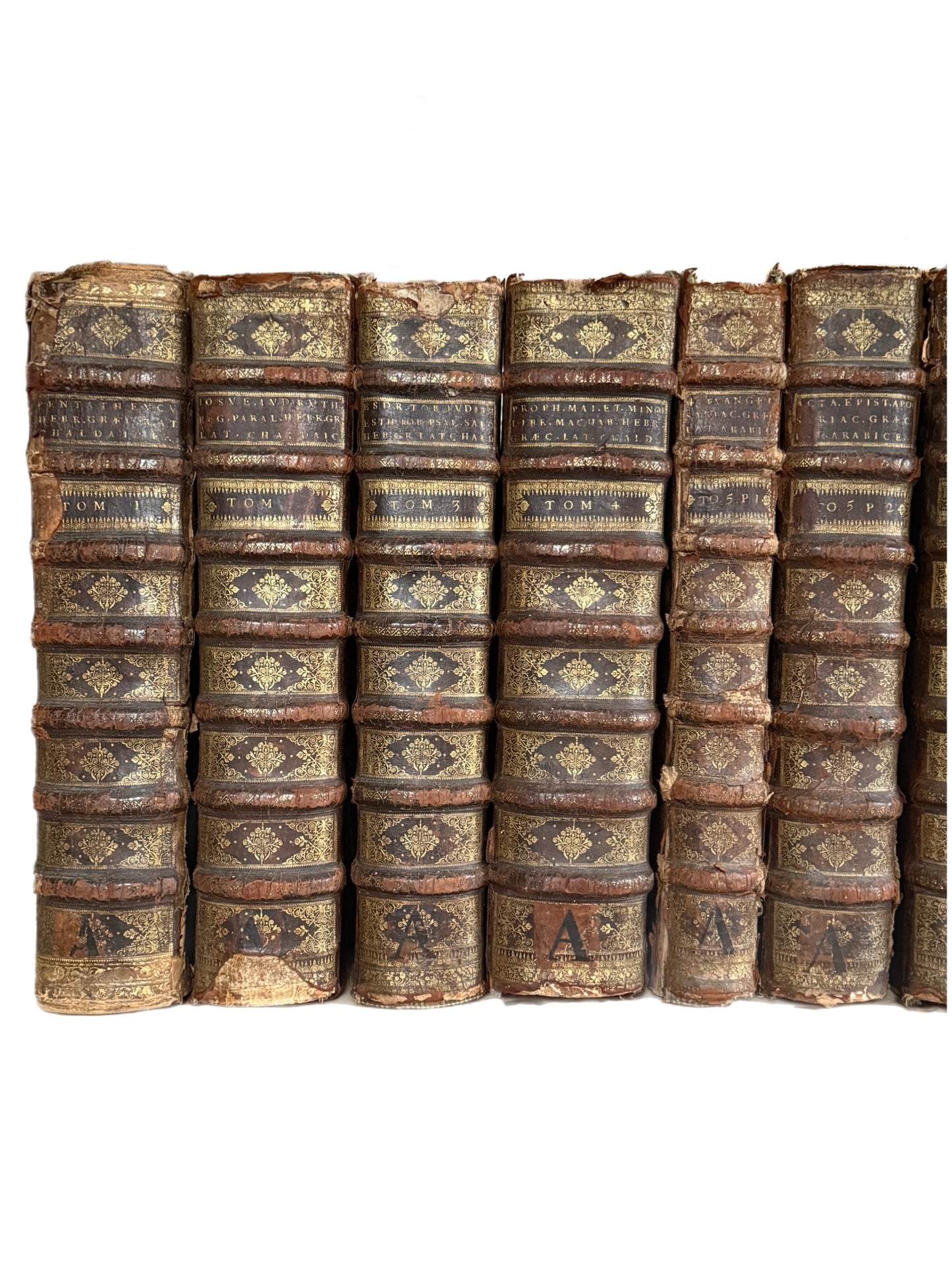 The Paris Polyglot Bible 1629-45 First Edition. A Monumental Set