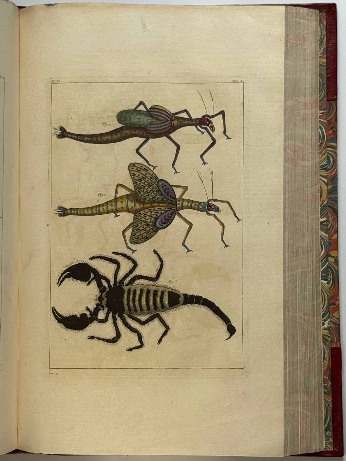 Pierre Buchoz's Planches Enluminees et non-Enluminees 1778