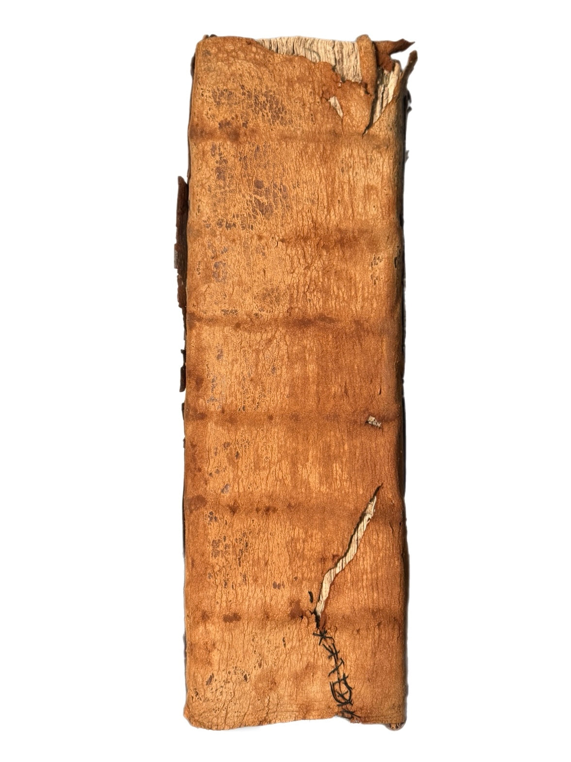 The Grand Noble Geneva Bible 1583: Possibly Associated with a Translator of the Geneva Bible