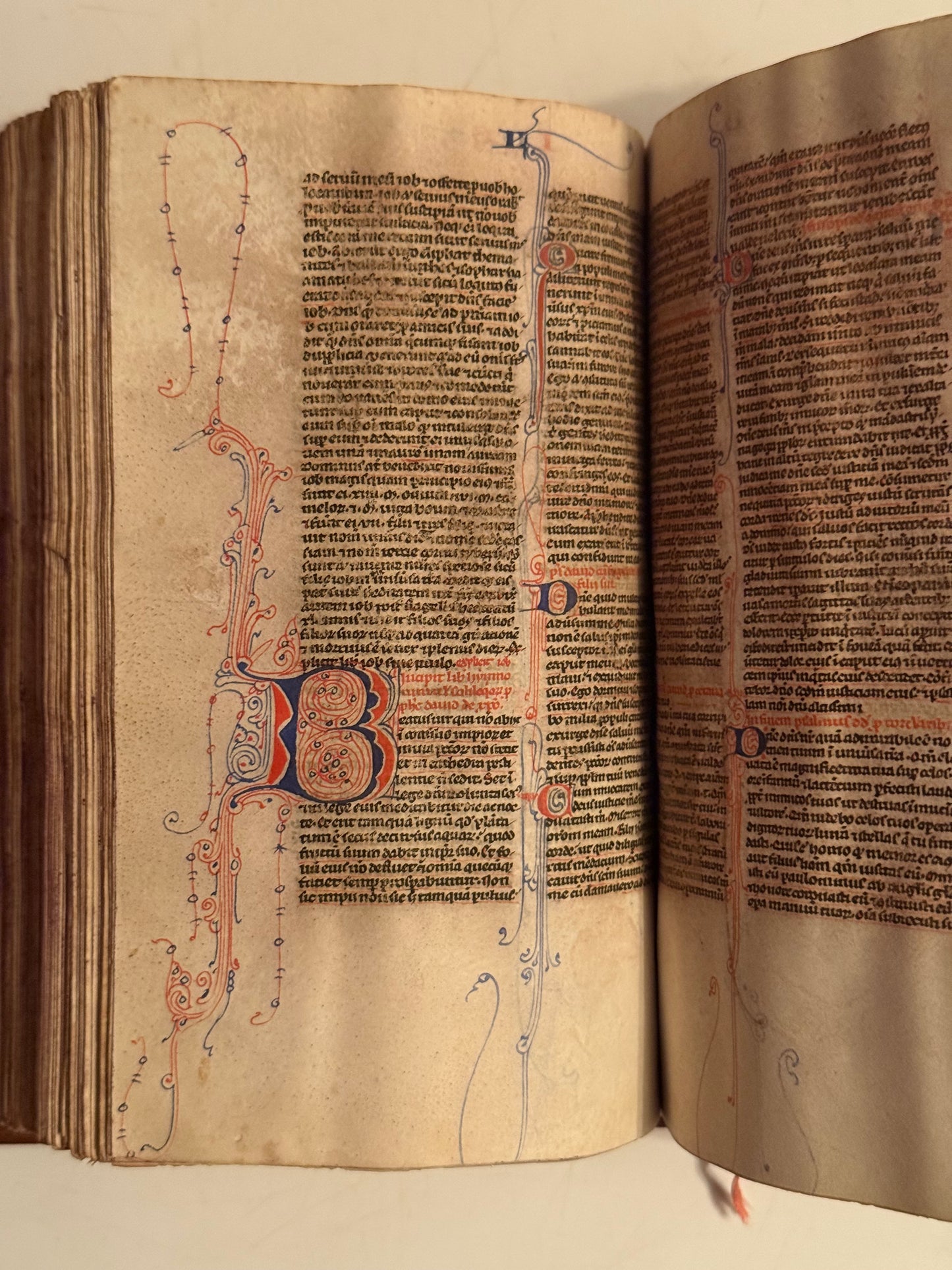 A Complete Illuminated Paris Bible, c.1250