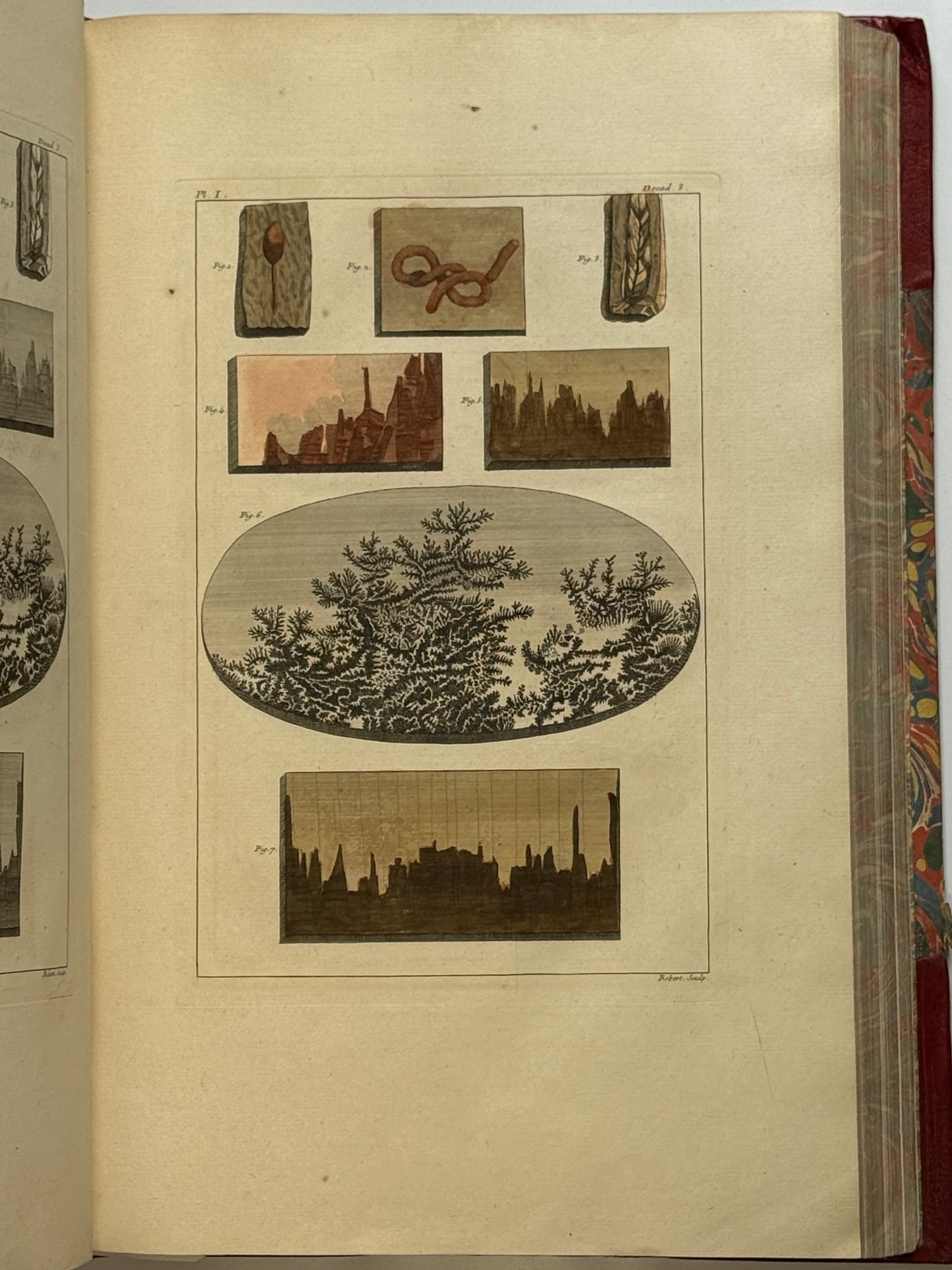 Pierre Buchoz's Planches Enluminees et non-Enluminees 1778