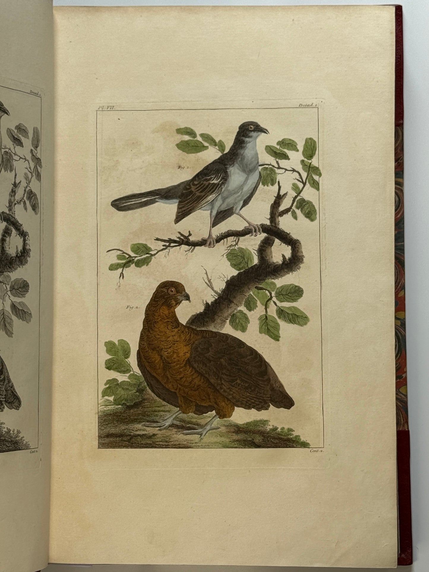 Pierre Buchoz's Planches Enluminees et non-Enluminees 1778