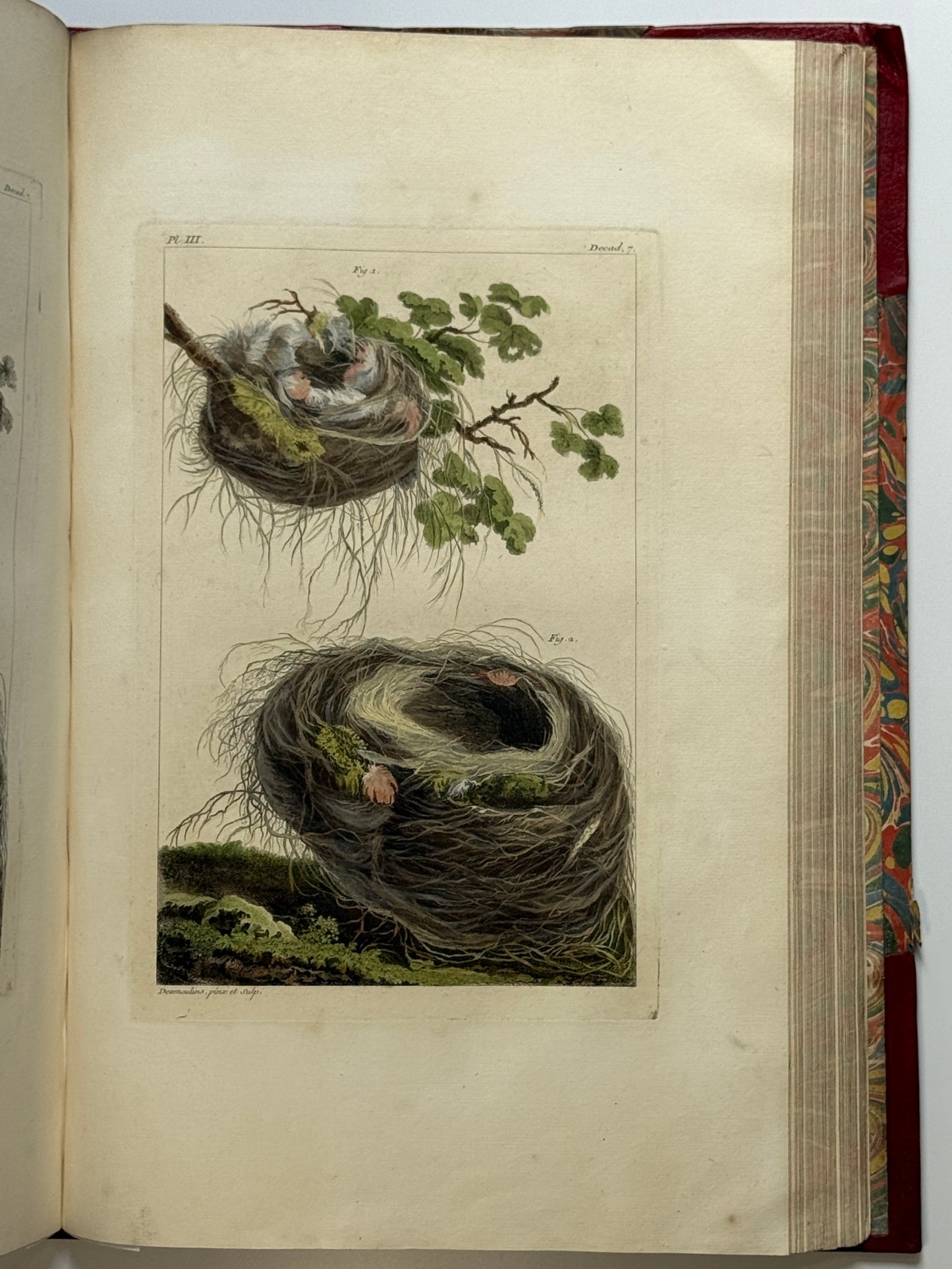 Pierre Buchoz's Planches Enluminees et non-Enluminees 1778