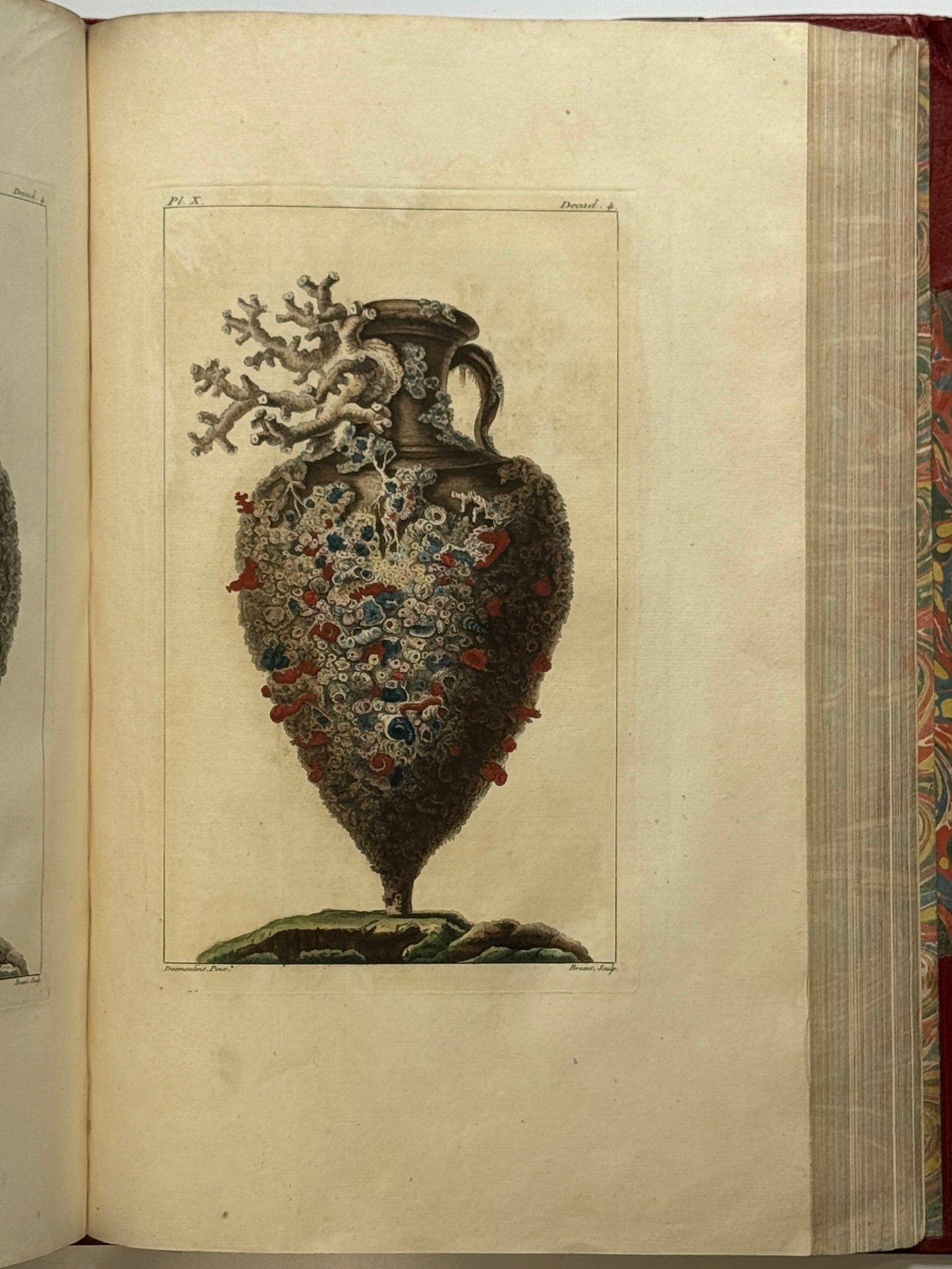 Pierre Buchoz's Planches Enluminees et non-Enluminees 1778