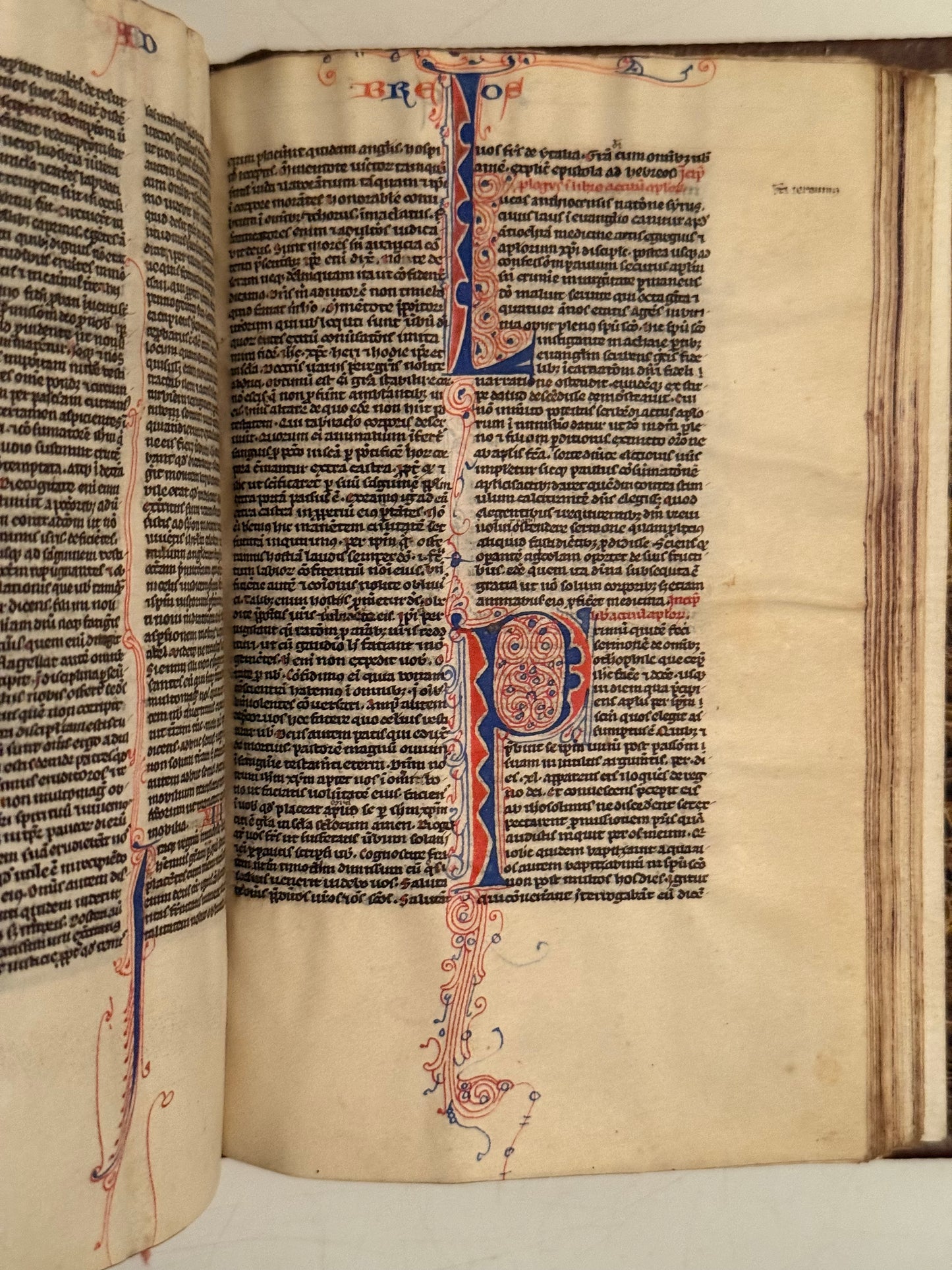 A Complete Illuminated Paris Bible, c.1250