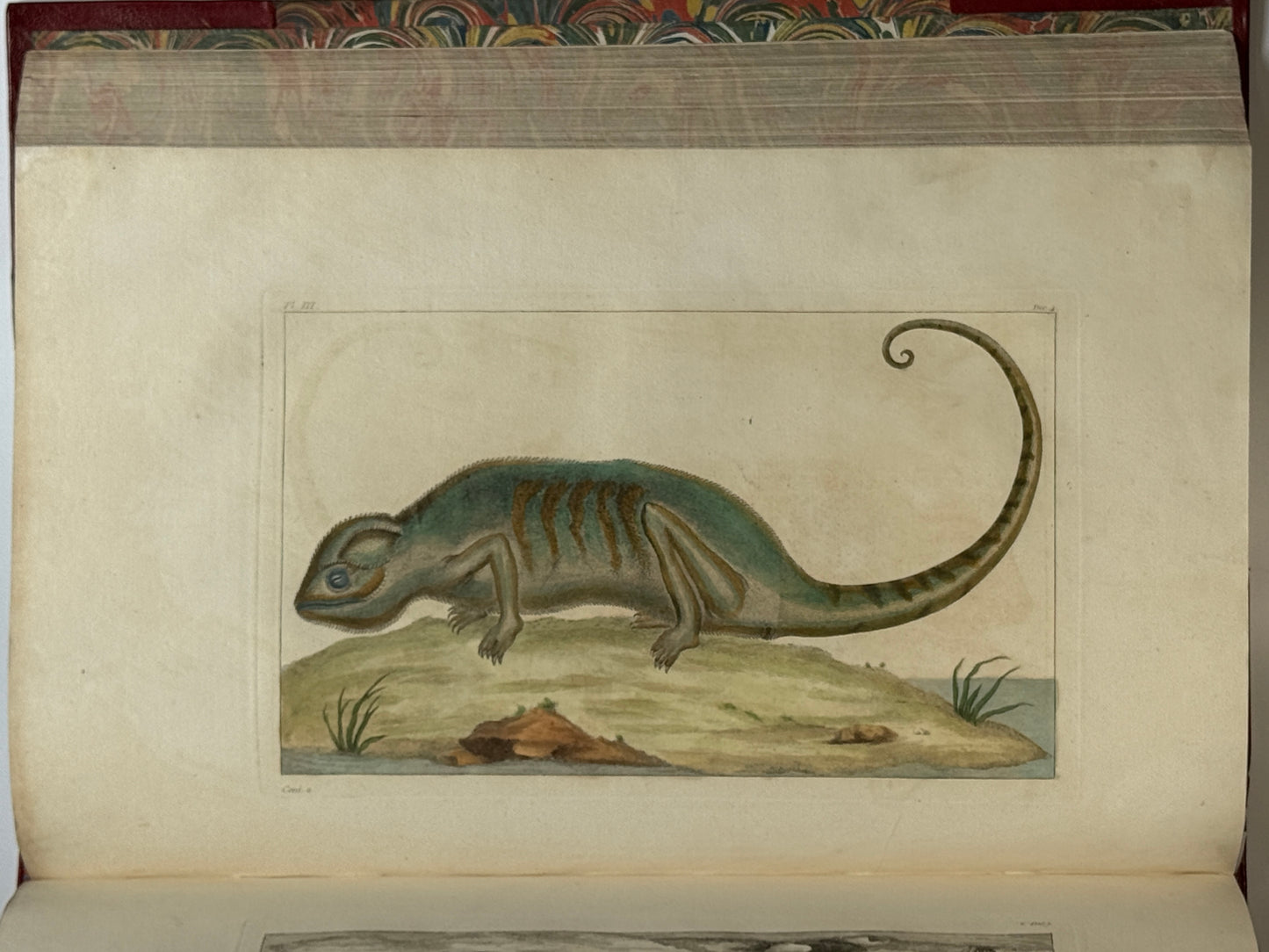 Pierre Buchoz's Planches Enluminees et non-Enluminees 1778