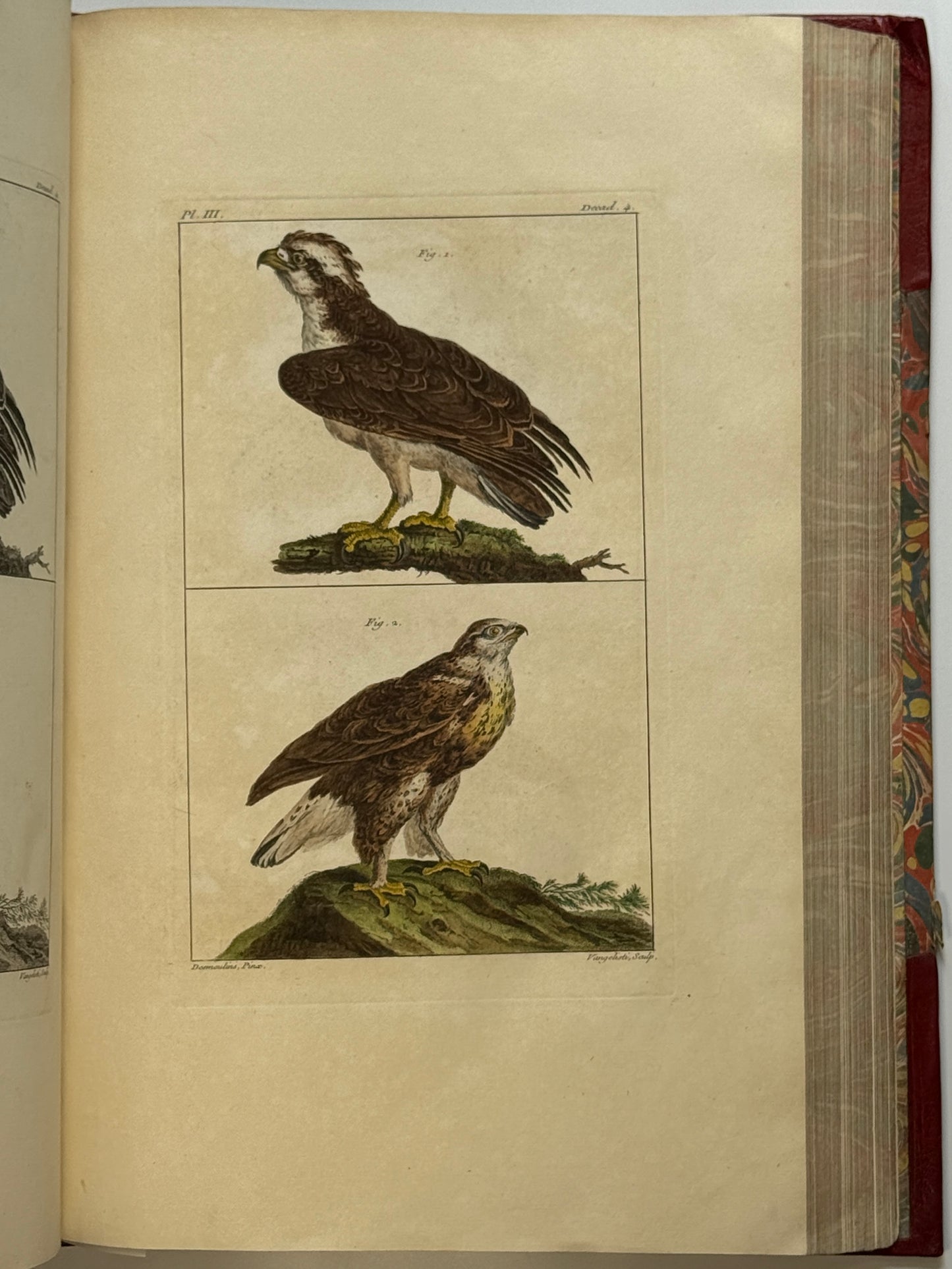 Pierre Buchoz's Planches Enluminees et non-Enluminees 1778
