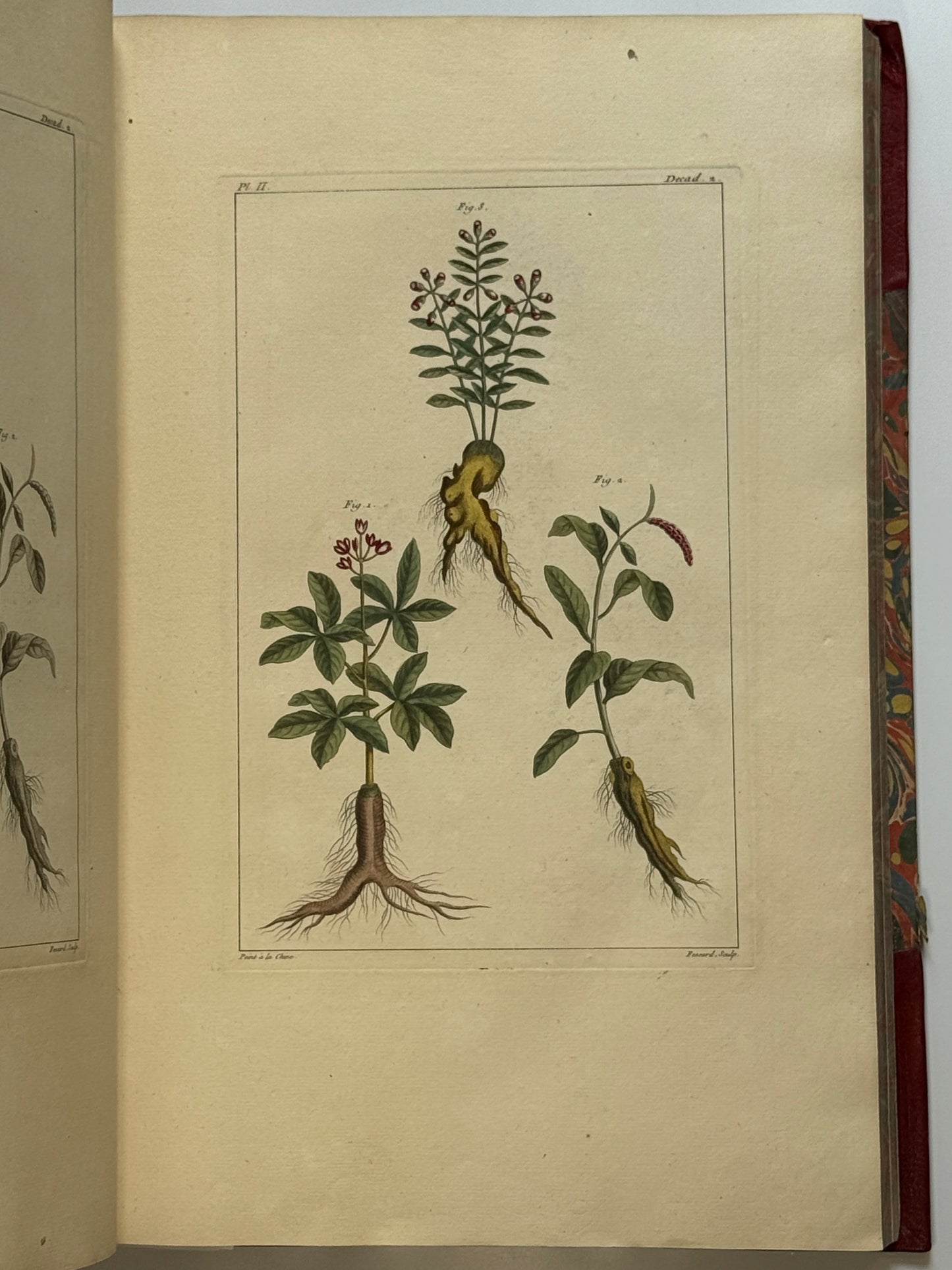 Pierre Buchoz's Planches Enluminees et non-Enluminees 1778