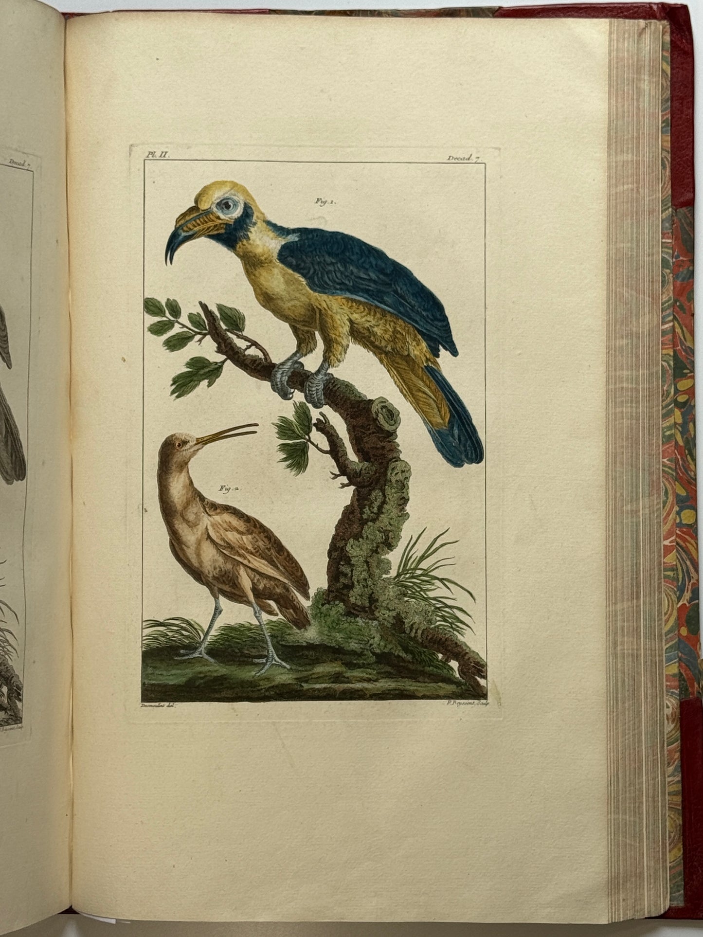 Pierre Buchoz's Planches Enluminees et non-Enluminees 1778