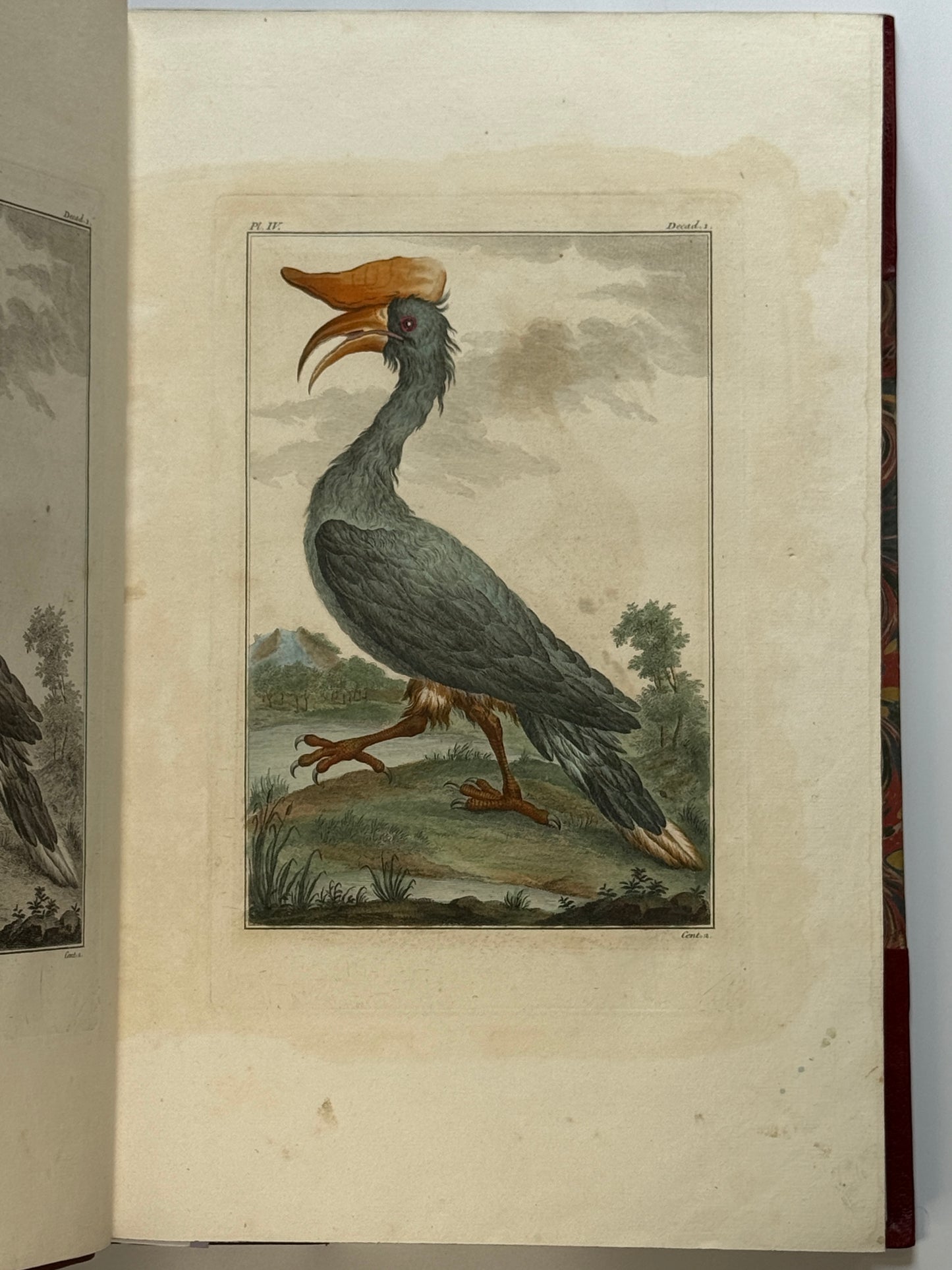 Pierre Buchoz's Planches Enluminees et non-Enluminees 1778