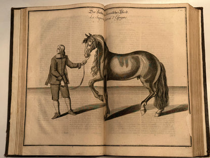 William Cavendish 1700