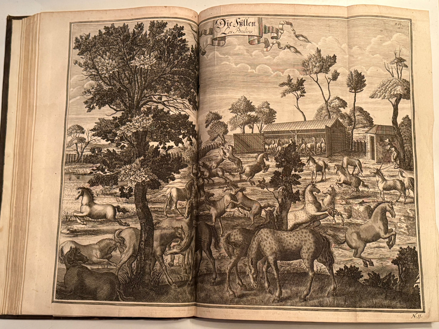 William Cavendish 1700
