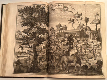 William Cavendish 1700