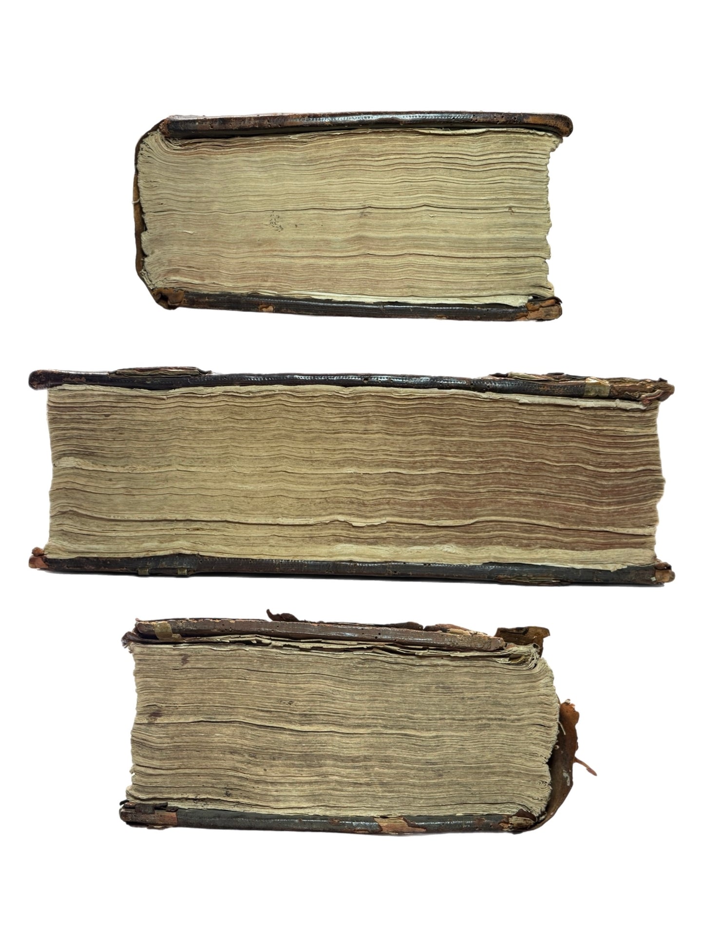 The Grand Noble Geneva Bible 1583: Possibly Associated with a Translator of the Geneva Bible
