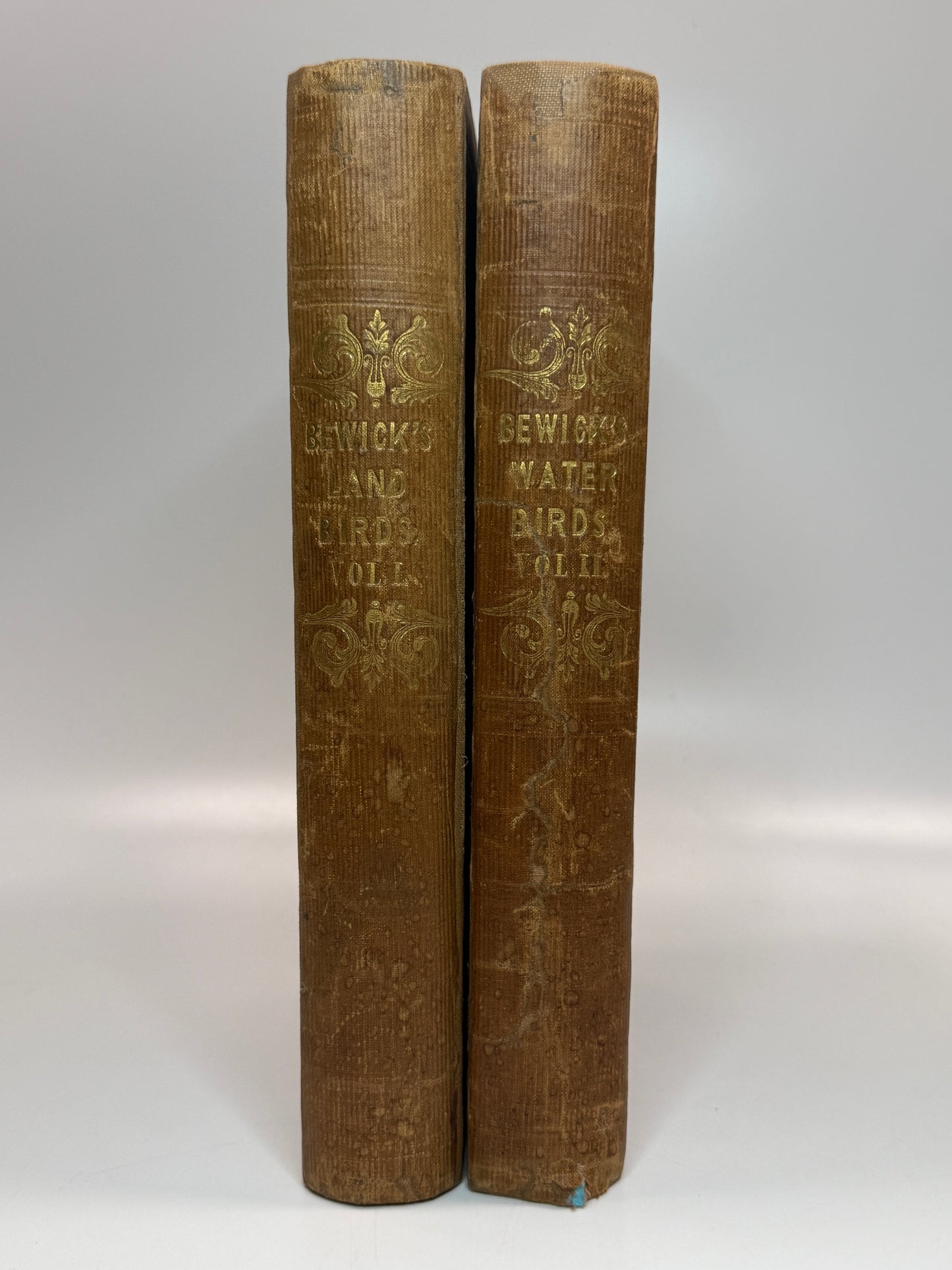 A History of British Birds by Thomas Bewick 1832: Thomas Fowell Buxton's Copy