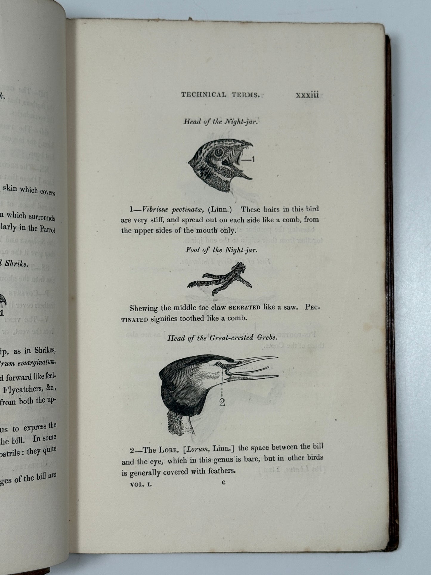 A History of British Birds by Thomas Bewick 1832: Thomas Fowell Buxton's Copy