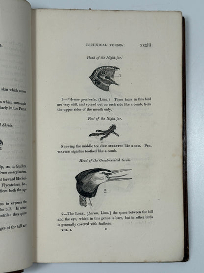 A History of British Birds by Thomas Bewick 1832: Thomas Fowell Buxton's Copy
