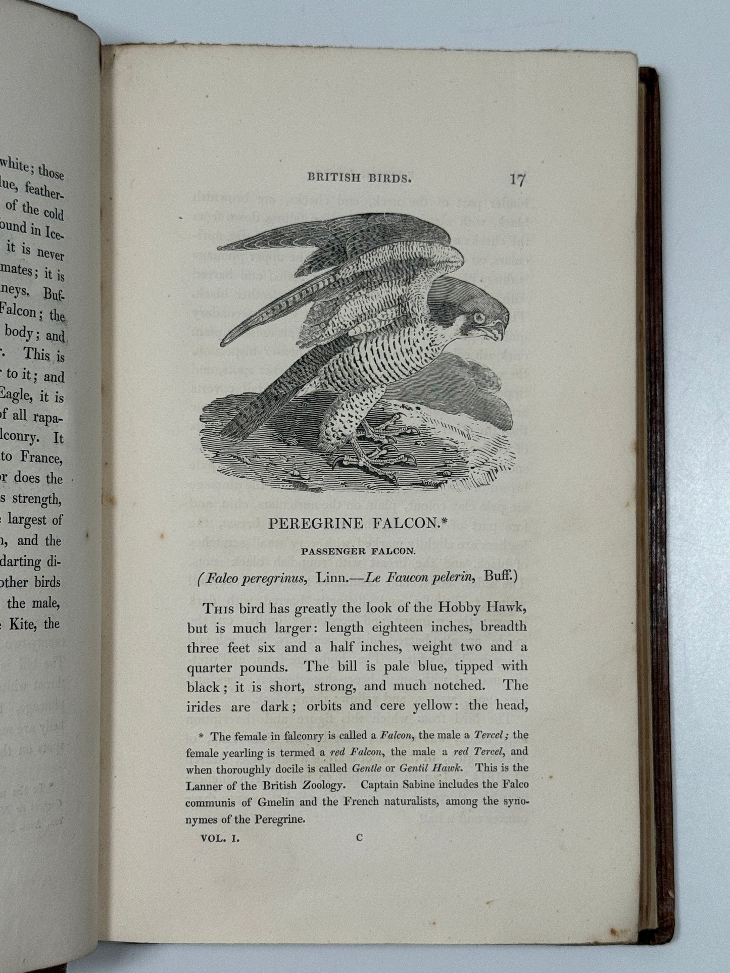 A History of British Birds by Thomas Bewick 1832: Thomas Fowell Buxton's Copy