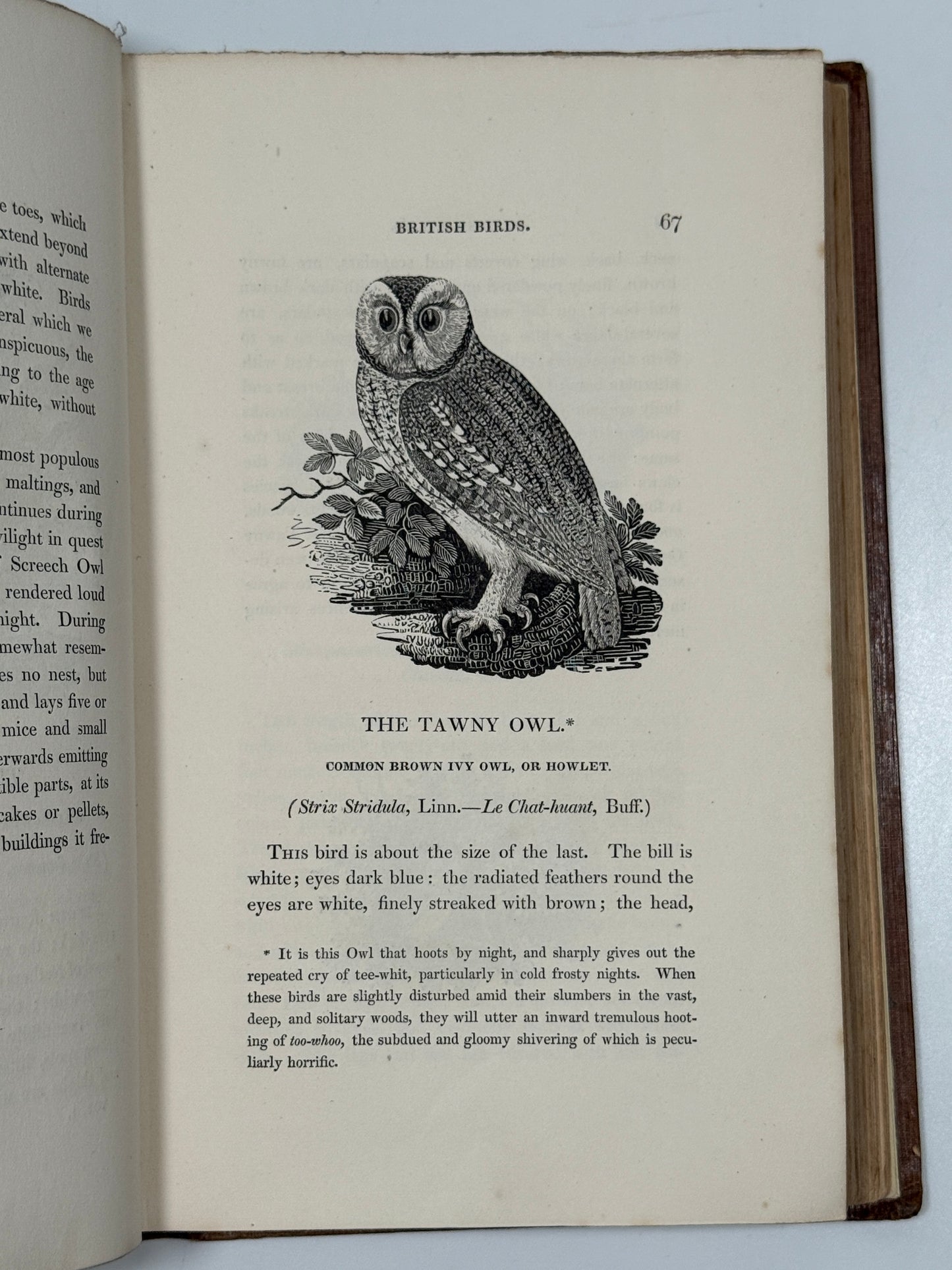 A History of British Birds by Thomas Bewick 1832: Thomas Fowell Buxton's Copy