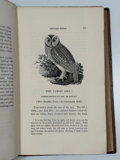 A History of British Birds by Thomas Bewick 1832: Thomas Fowell Buxton's Copy
