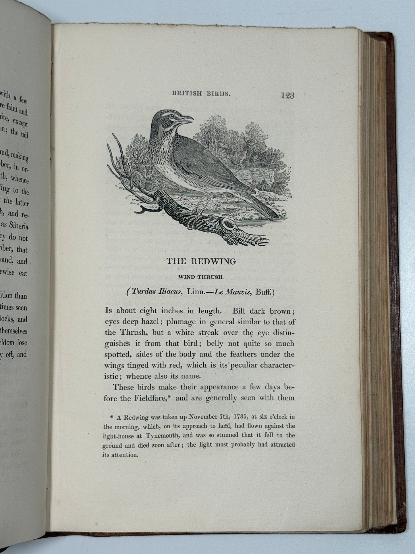 A History of British Birds by Thomas Bewick 1832: Thomas Fowell Buxton's Copy