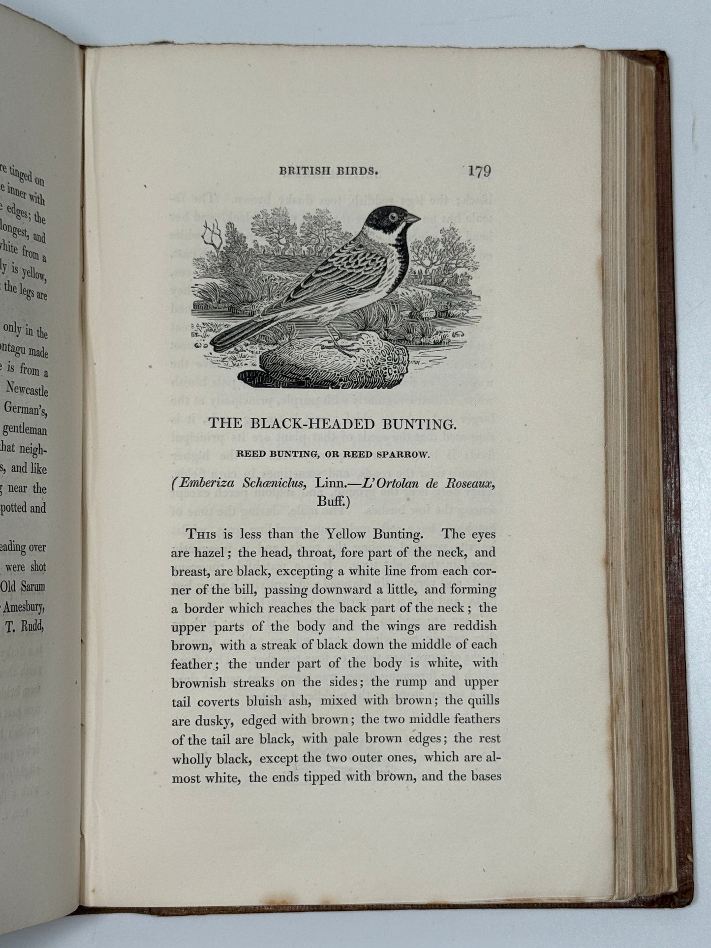 A History of British Birds by Thomas Bewick 1832: Thomas Fowell Buxton's Copy