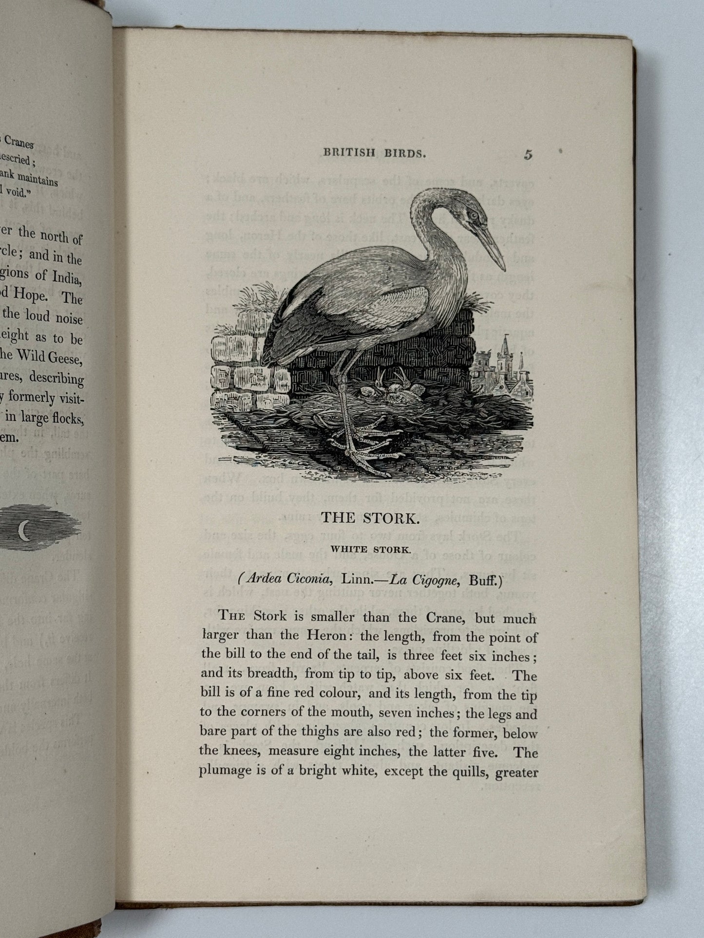 A History of British Birds by Thomas Bewick 1832: Thomas Fowell Buxton's Copy