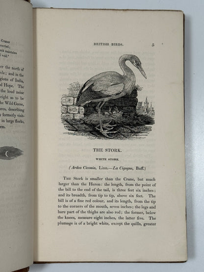 A History of British Birds by Thomas Bewick 1832: Thomas Fowell Buxton's Copy